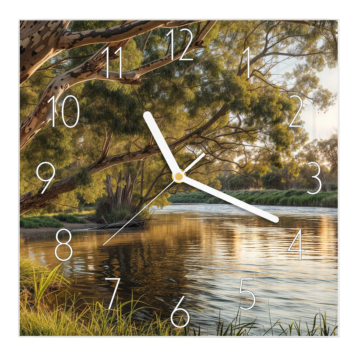 Wanduhr aus Glas, Ziffernblatt Elegant mit Motiv Baum am Flussufer: Ausladender Eukalyptus über einem ruhigen Fluss im Abendlicht, Gras im Vordergrund #ziffernblatt_Elegant