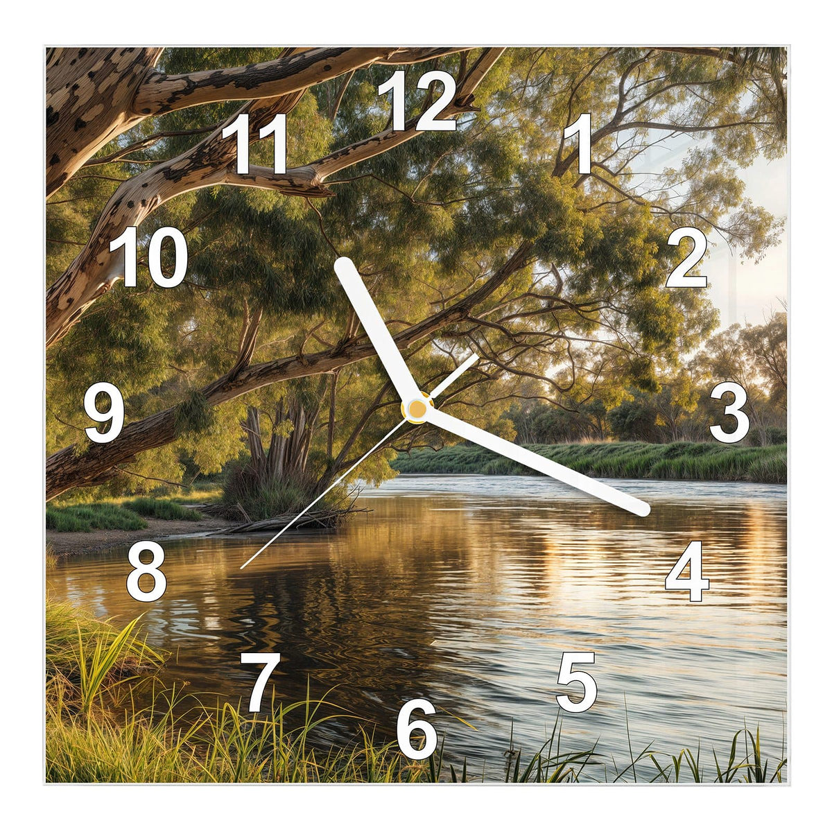 Wanduhr aus Glas, Ziffernblatt Modern mit Motiv Baum am Flussufer: Ausladender Eukalyptus über einem ruhigen Fluss im Abendlicht, Gras im Vordergrund #ziffernblatt_Modern