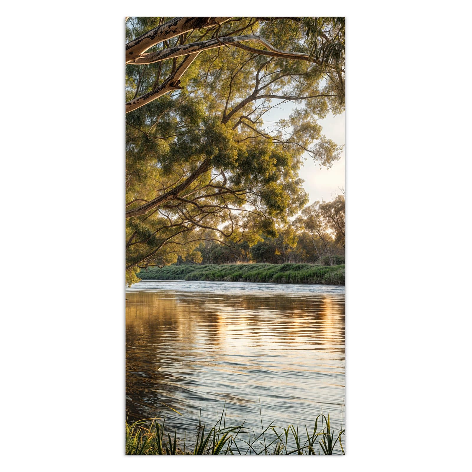 #grösse_30 x 60 cm #grösse_40 x 80 cm #grösse_50 x 100 cm #grösse_55 x 110 cm #grösse_60 x 120 cm