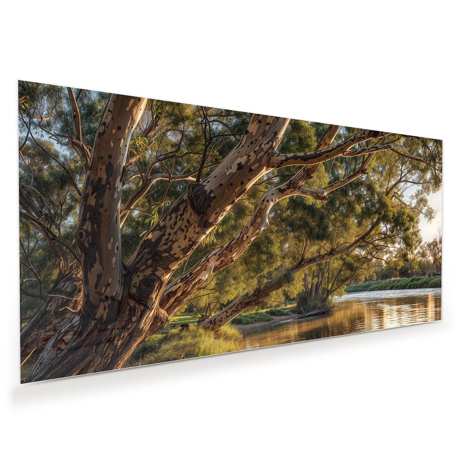 #grösse_60 x 30 cm #grösse_80 x 40 cm #grösse_100 x 50 cm #grösse_110 x 55 cm #grösse_120 x 60 cm