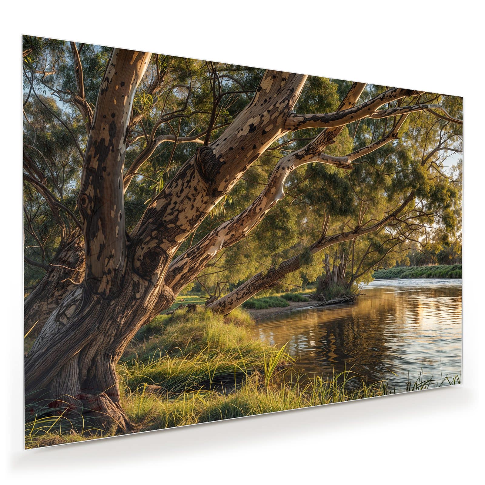 #grösse_100 x 70 cm