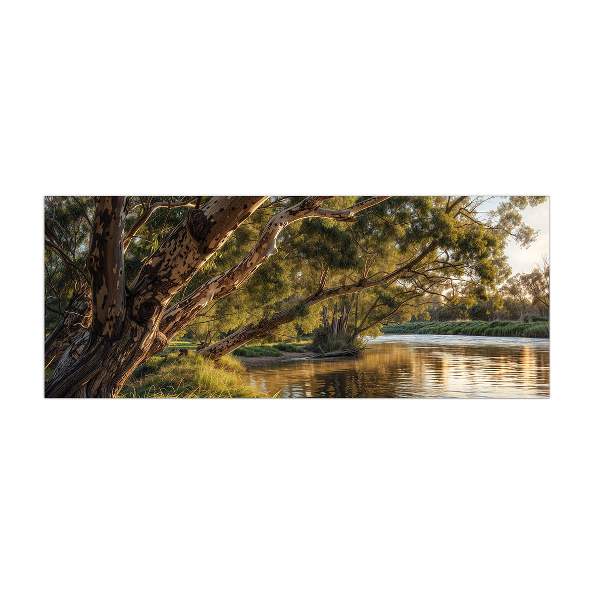 Küchenrückwand aus Glas Baum am Flussufer im Hochformat, Motiv bildfüllend von vorn