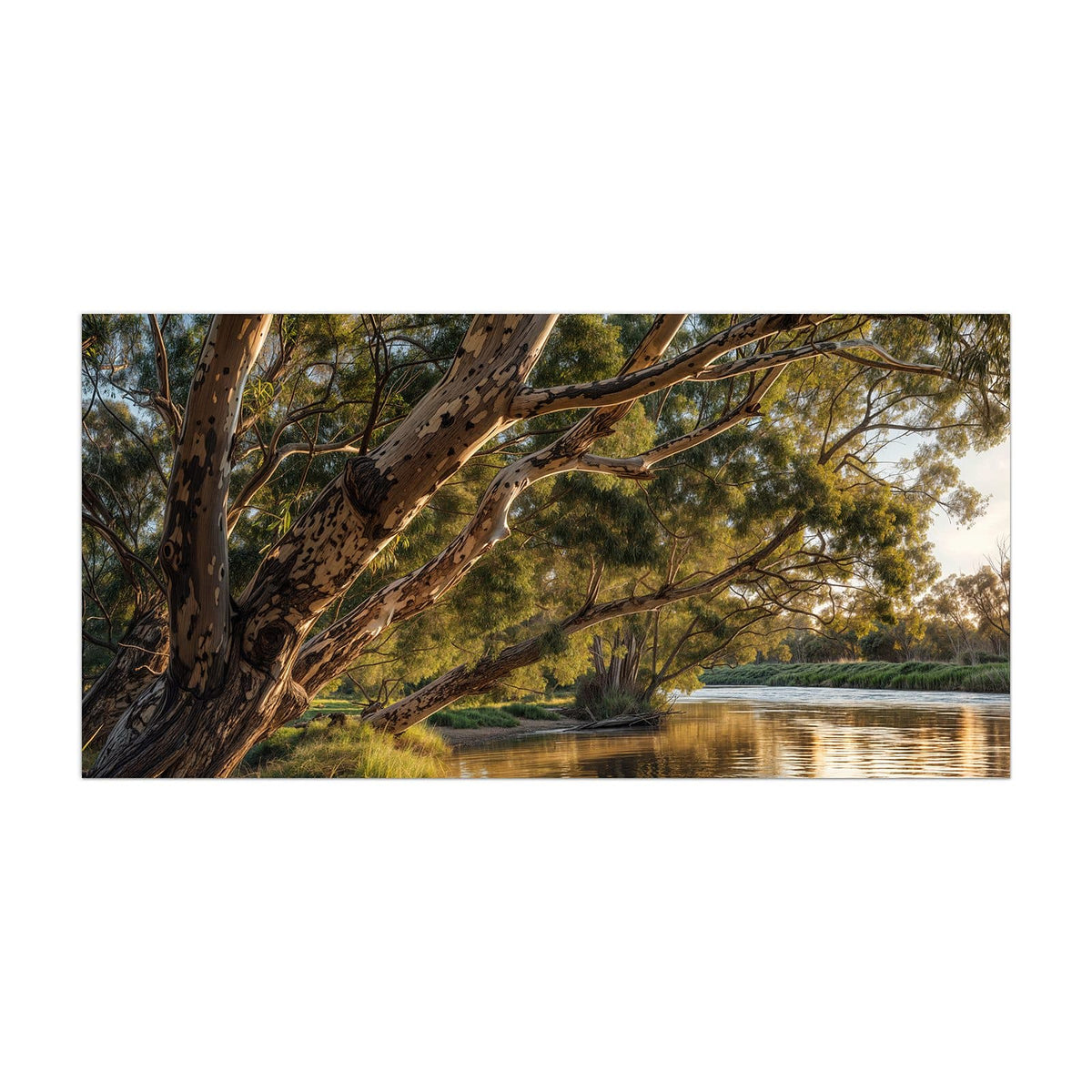 Küchenrückwand aus Glas Baum am Flussufer im Hochformat, Motiv bildfüllend von vorn