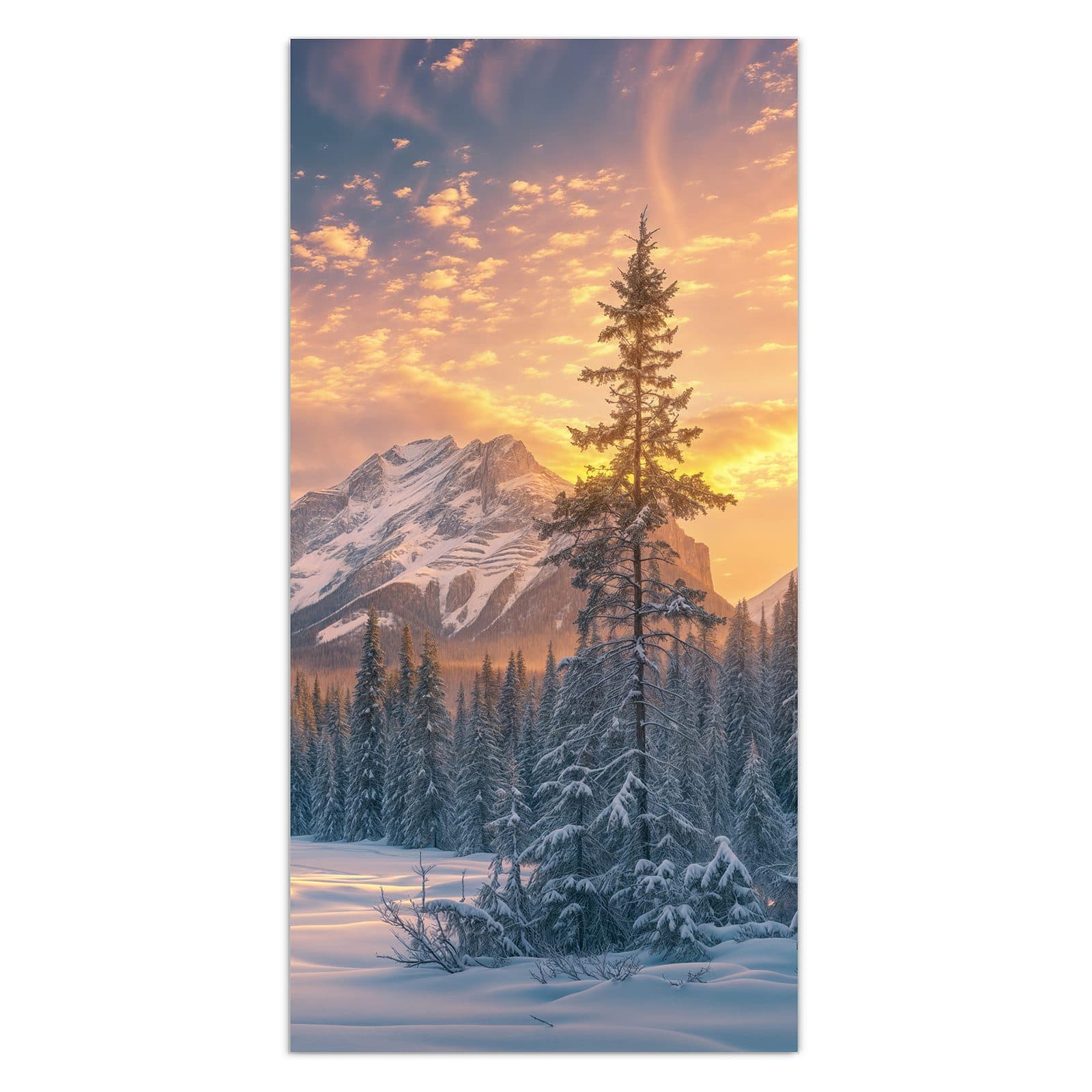 #grösse_30 x 60 cm #grösse_40 x 80 cm #grösse_50 x 100 cm #grösse_55 x 110 cm #grösse_60 x 120 cm