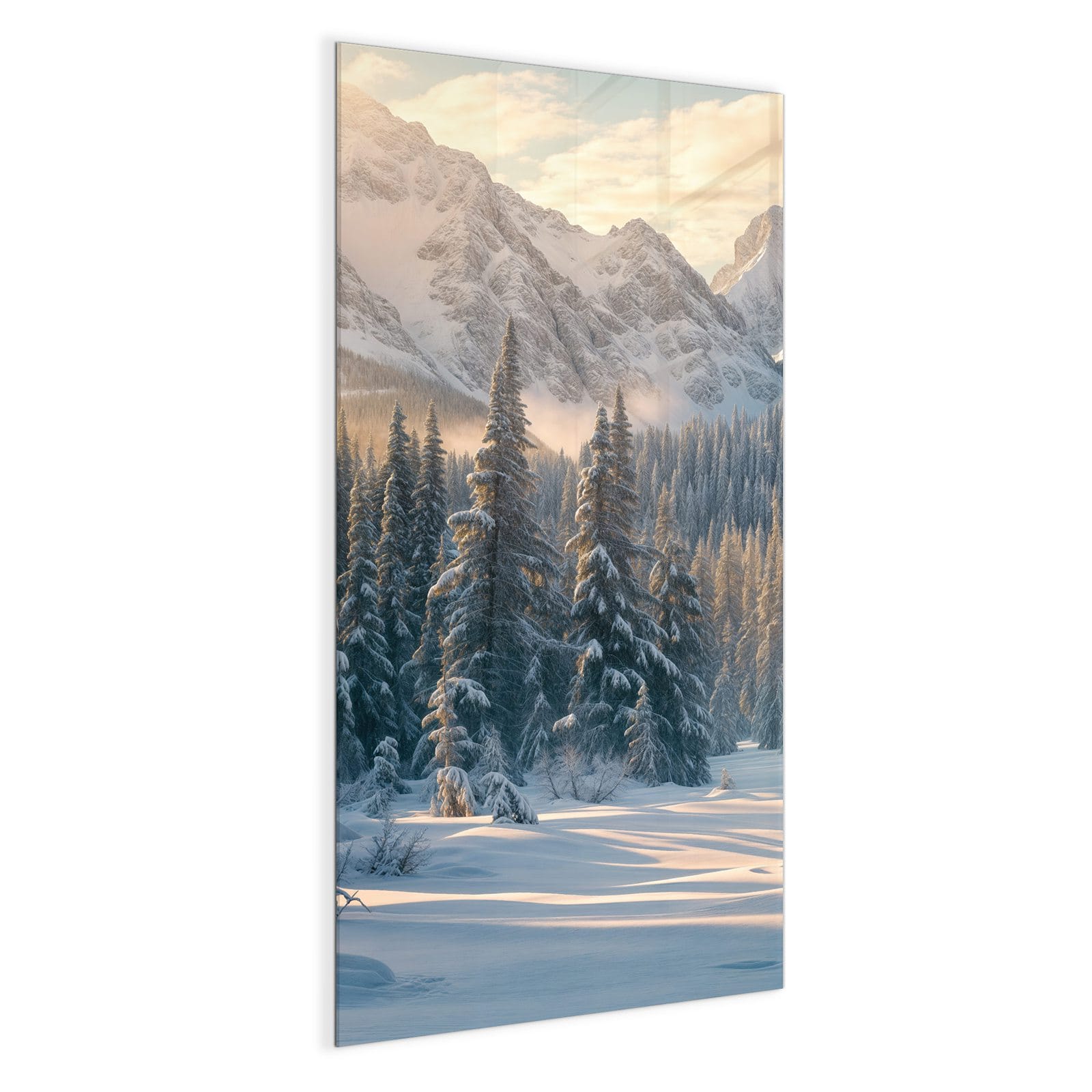 #grösse_50 x 100 cm