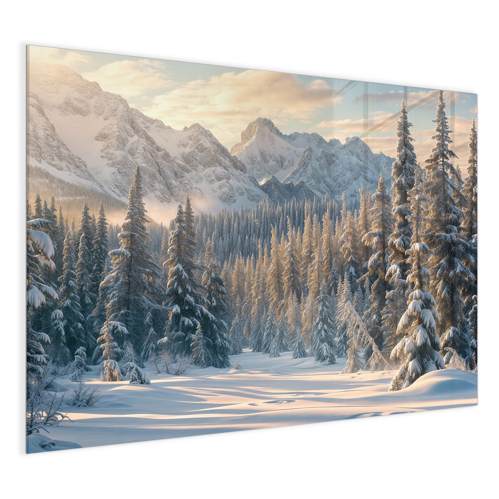 #grösse_120 x 90 cm