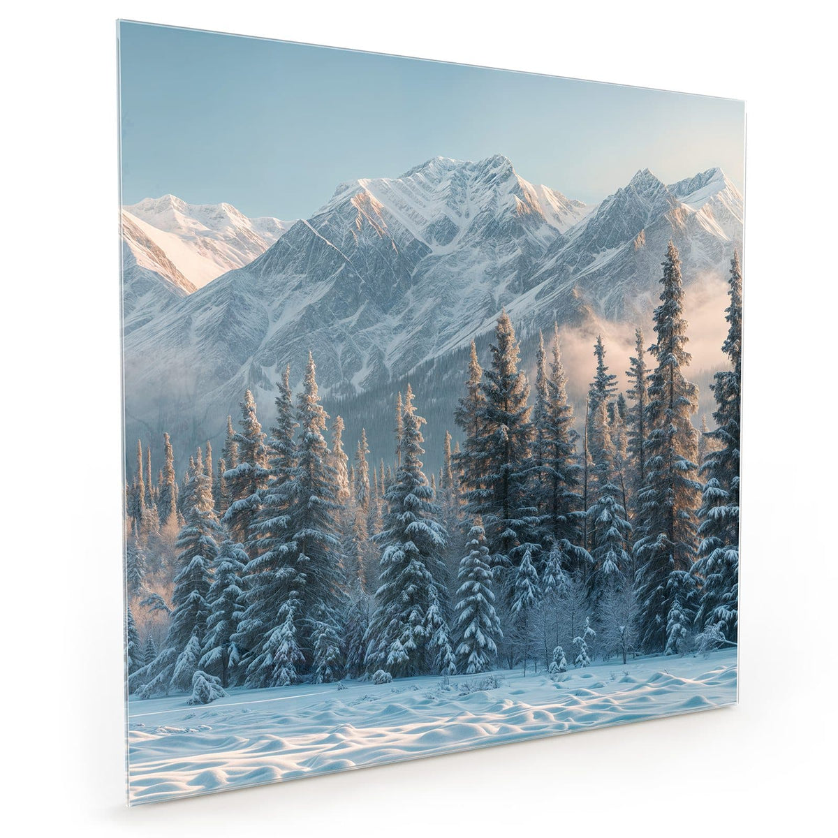 Küchenrückwand aus Glas im quadratischen Format mit Motiv Schneebedeckte Berge: Verschneite Tannen vor einer sonnenbeschienenen Gebirgskette #grösse_40 x 40 cm #grösse_50 x 50 cm #grösse_60 x 60 cm