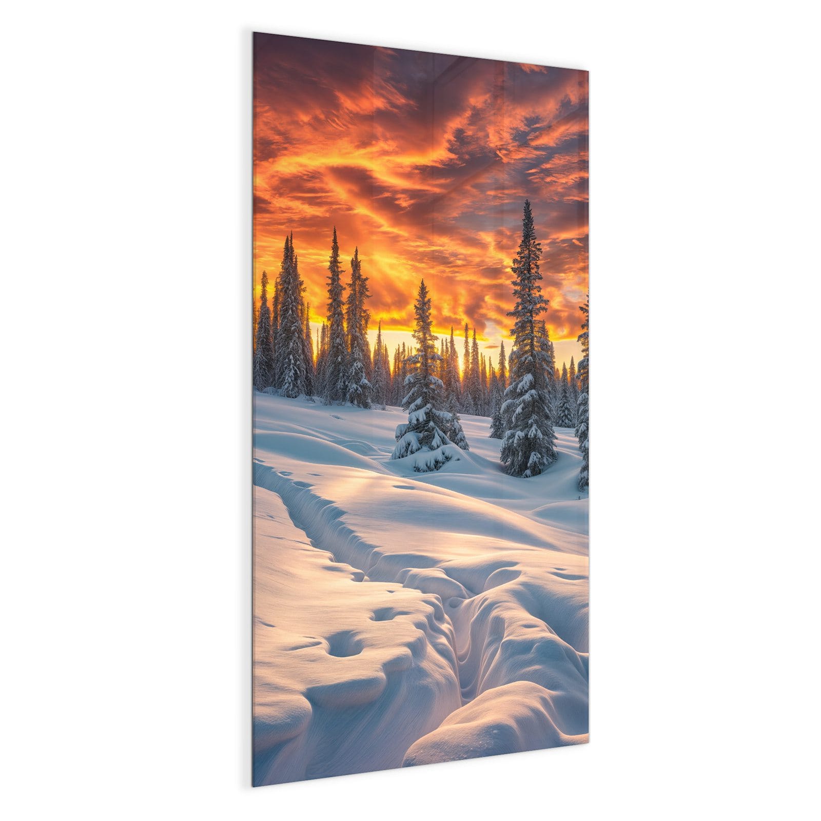 #grösse_50 x 100 cm