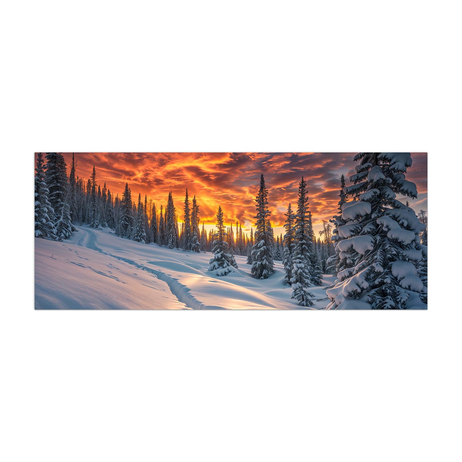 #grösse_40 x 100 cm #grösse_50 x 125 cm #grösse_60 x 150 cm