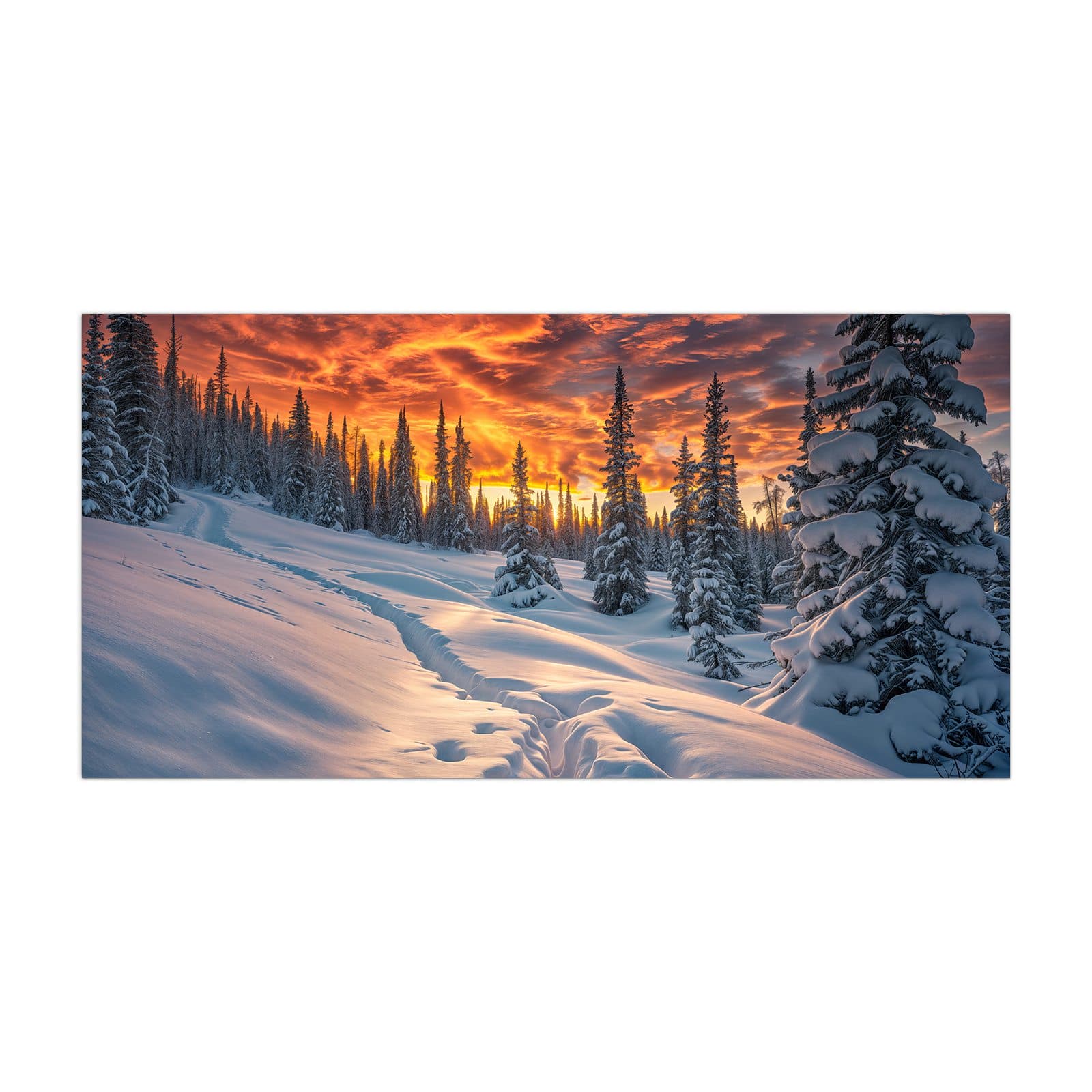 #grösse_40 x 80 cm #grösse_50 x 100 cm #grösse_55 x 110 cm #grösse_60 x 120 cm