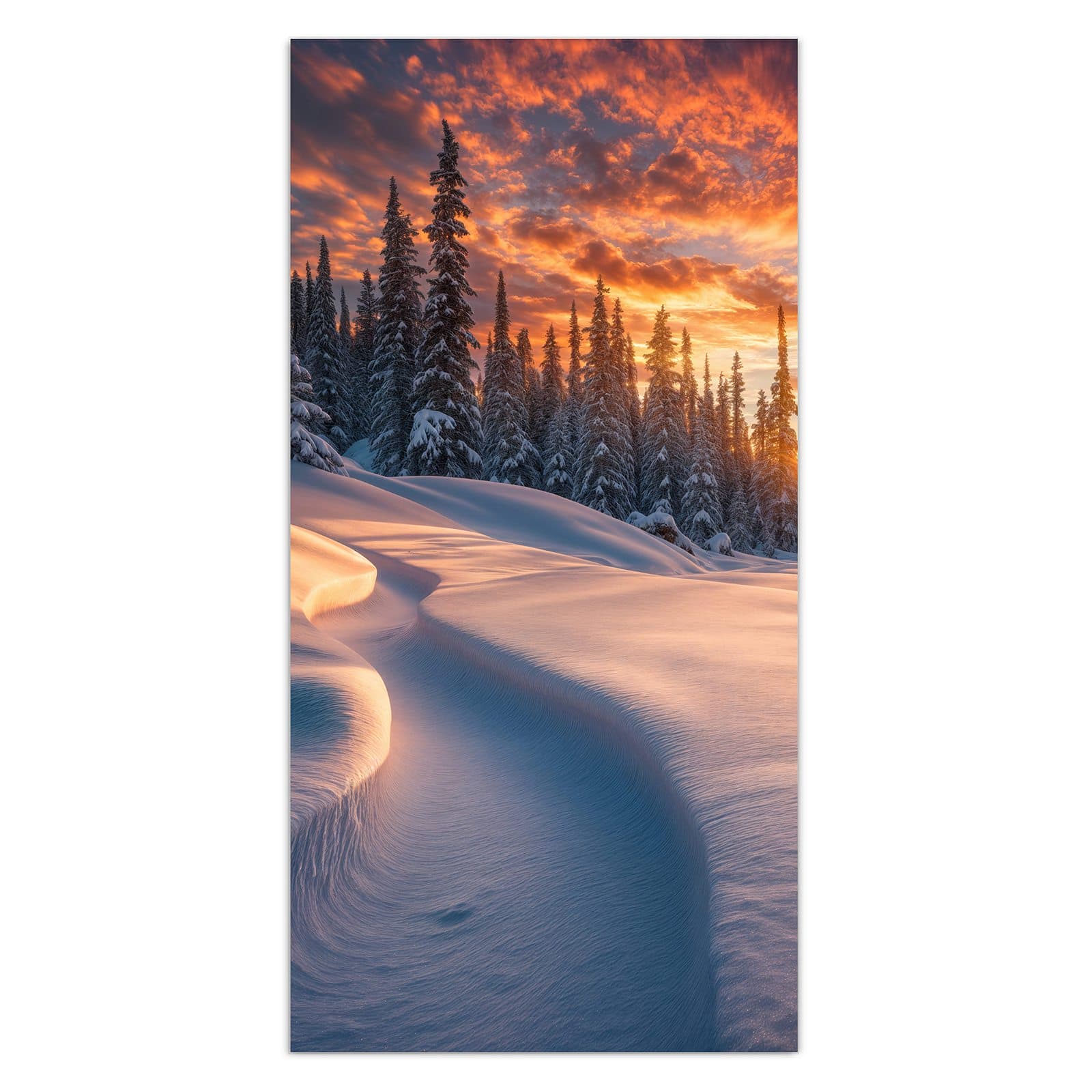 #grösse_30 x 60 cm #grösse_40 x 80 cm #grösse_50 x 100 cm #grösse_55 x 110 cm #grösse_60 x 120 cm