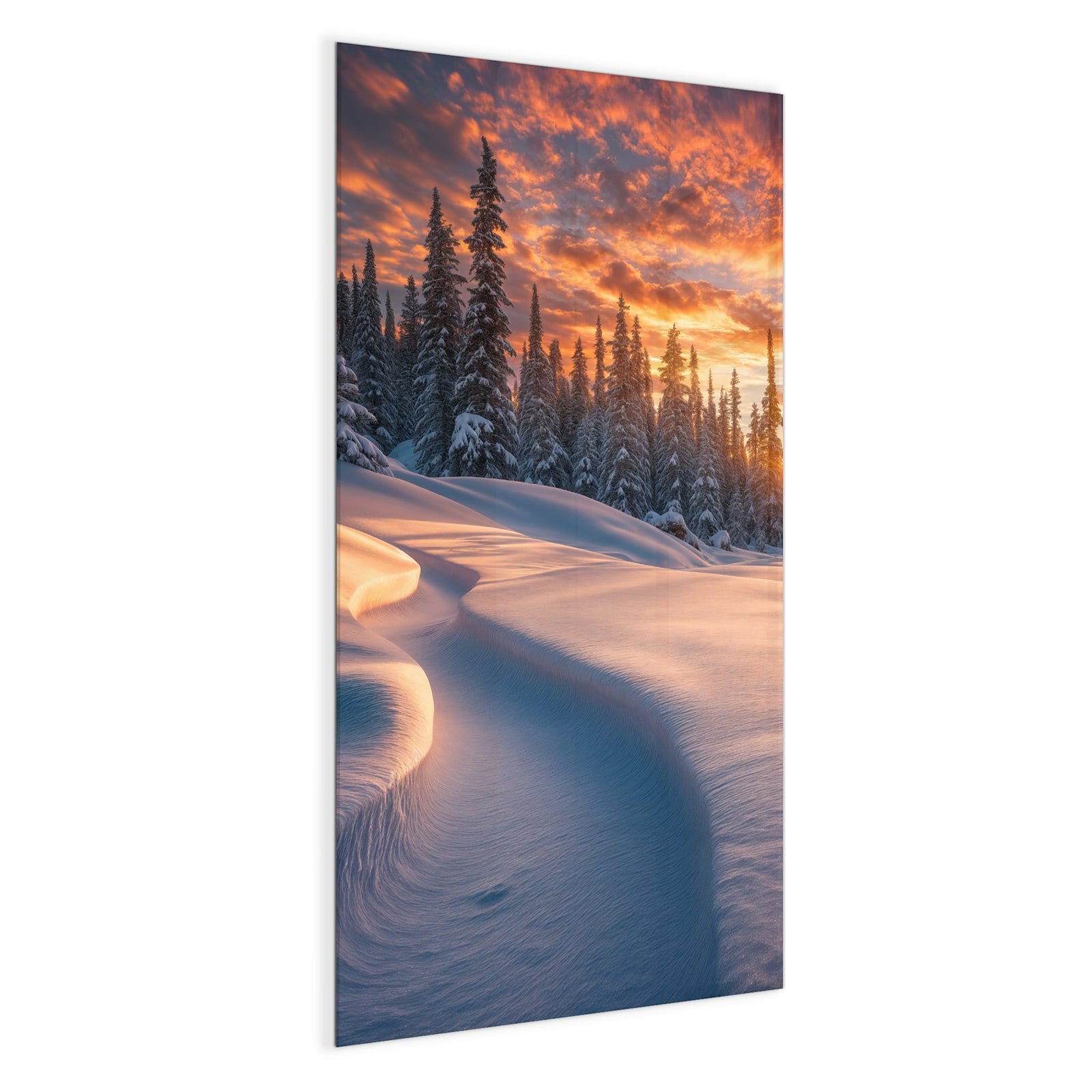 #grösse_50 x 100 cm