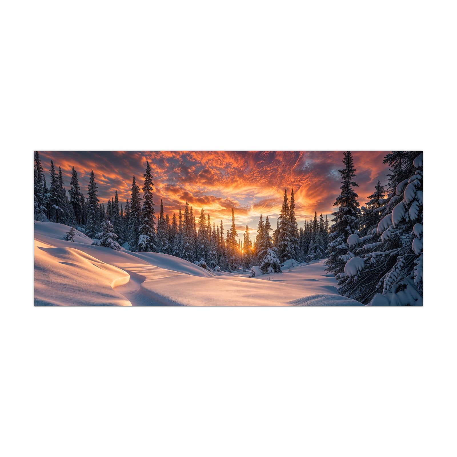 #grösse_40 x 100 cm #grösse_50 x 125 cm #grösse_60 x 150 cm