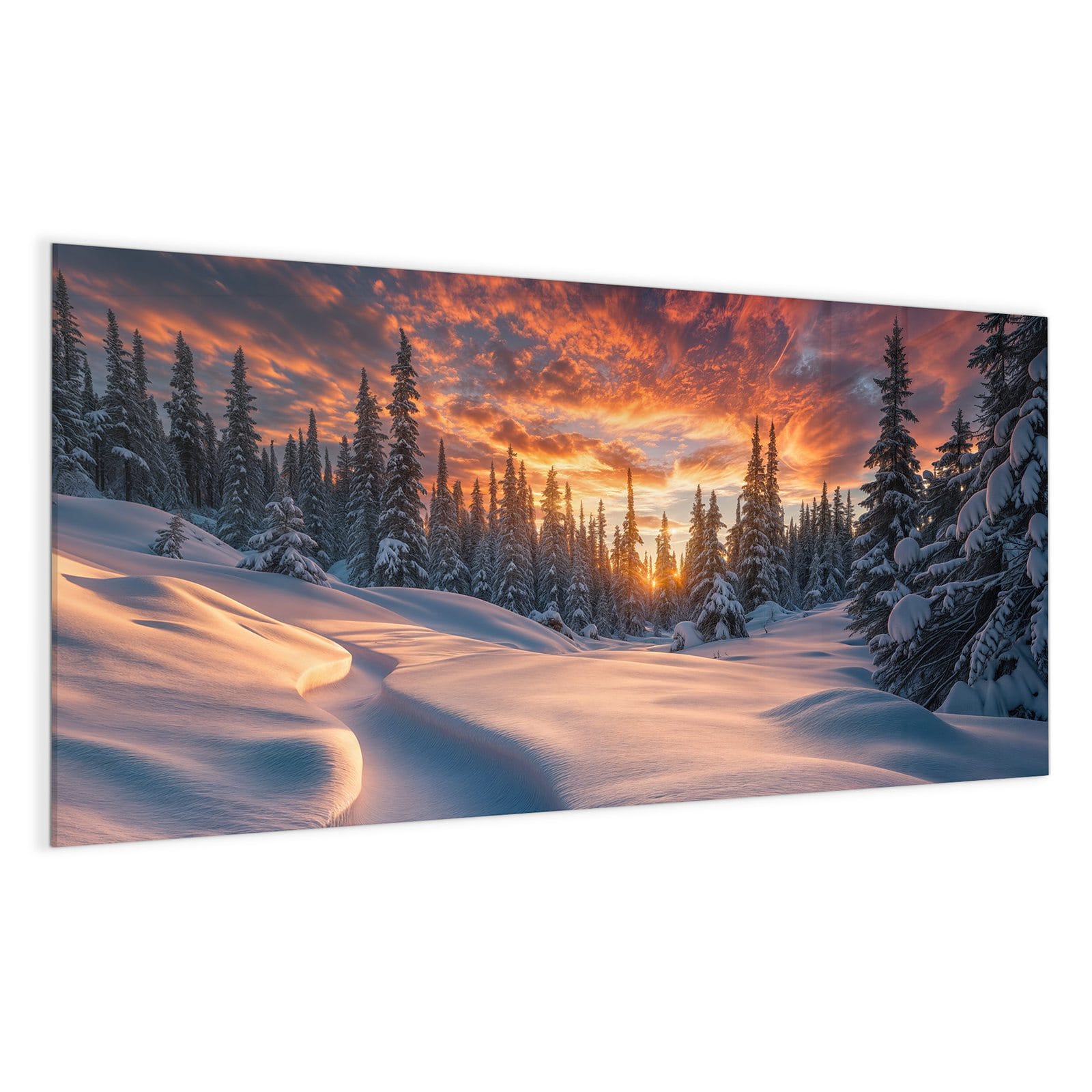 #grösse_100 x 50 cm