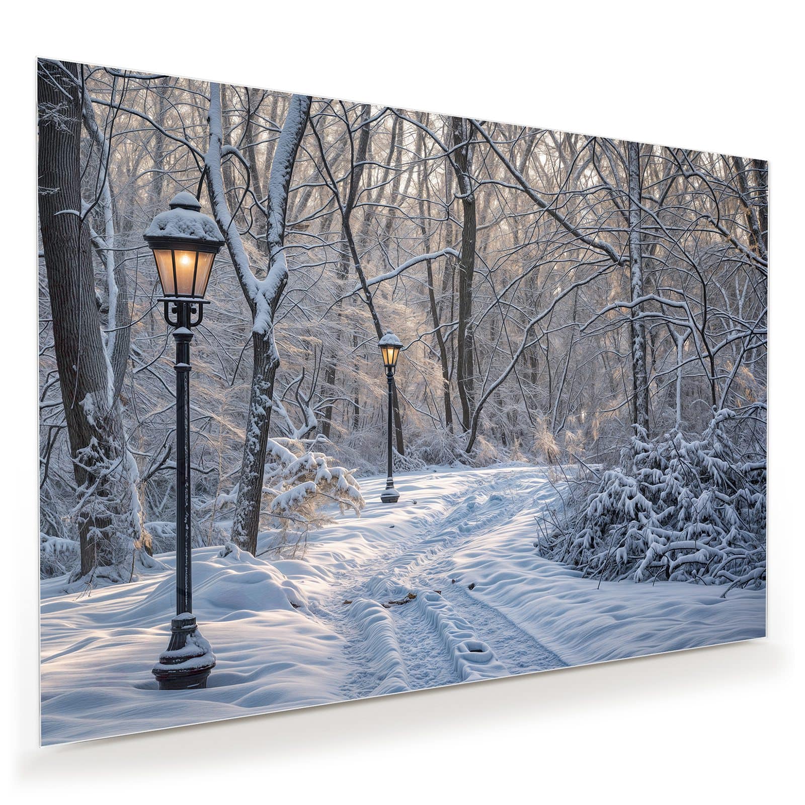 #grösse_100 x 70 cm