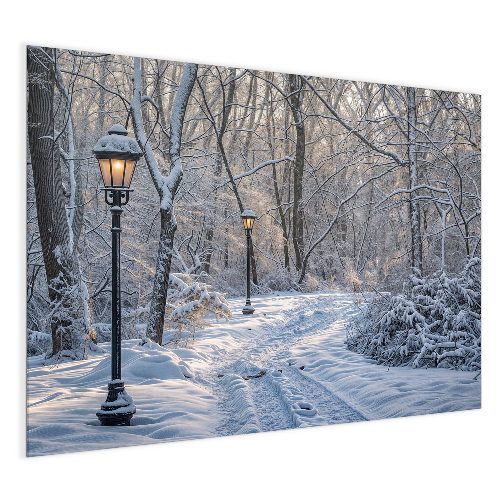 #grösse_120 x 90 cm