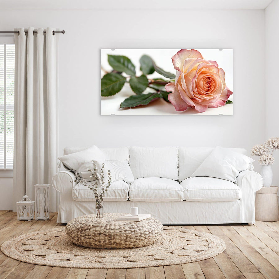 Maße Wandbild - Rose in Apricot - Querformat