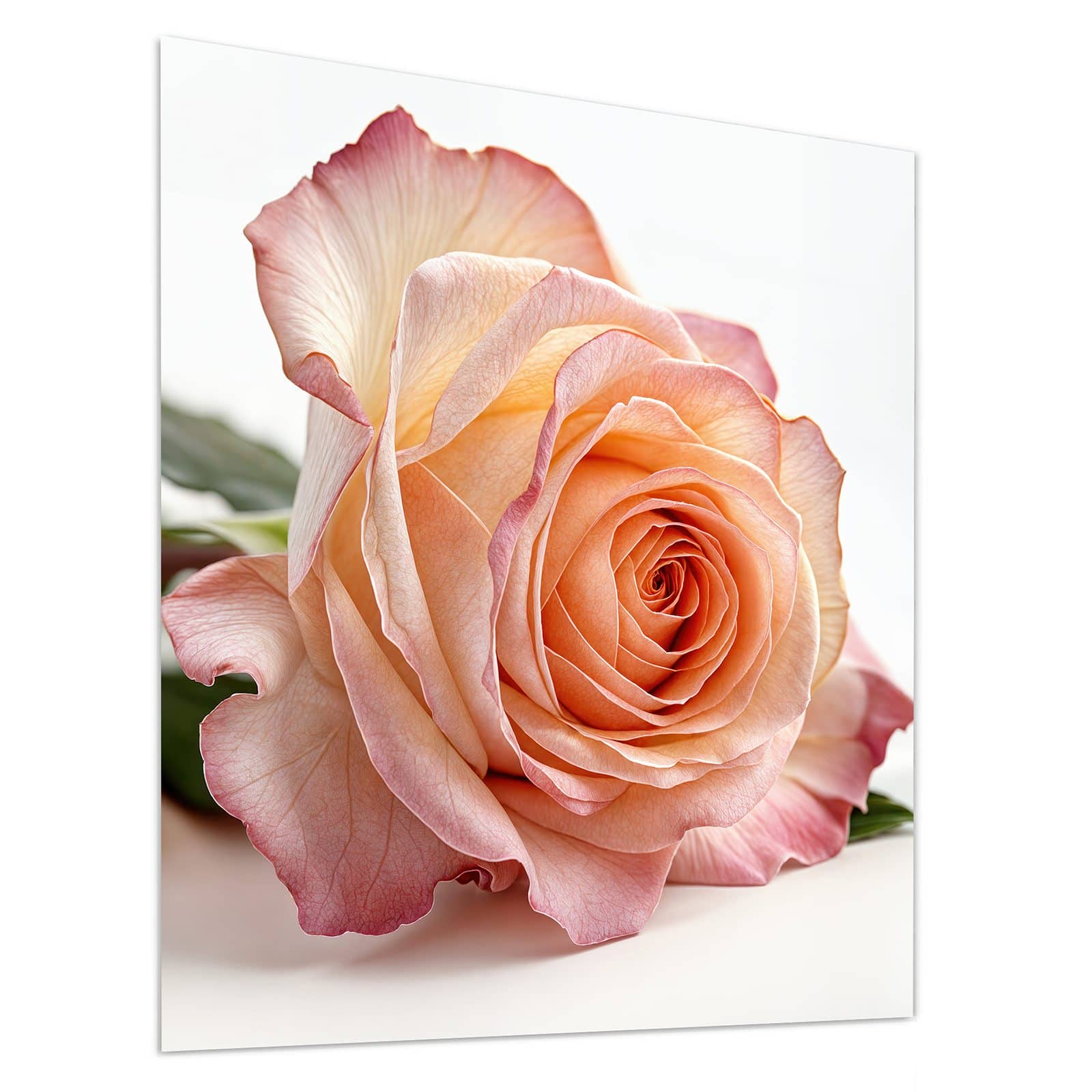 #grösse_90 x 100 cm