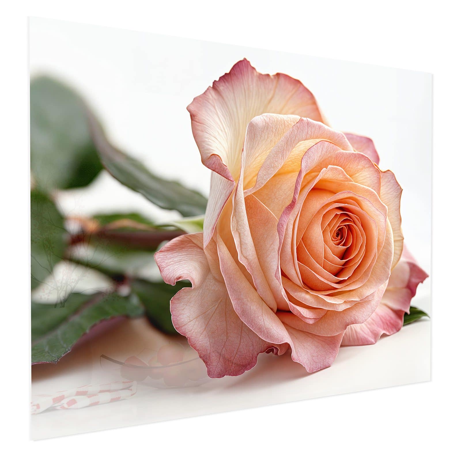 #grösse_75 x 60 cm #grösse_100 x 80 cm