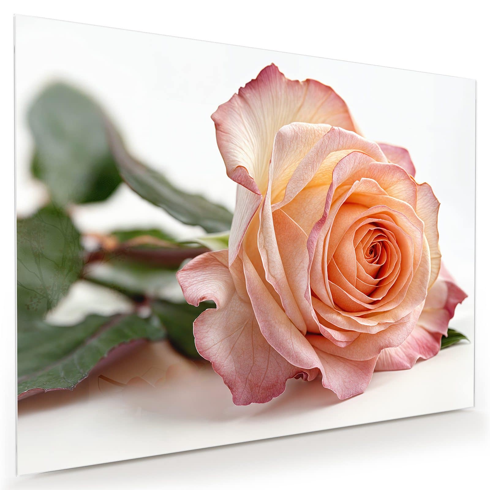 #grösse_80 x 60 cm #grösse_100 x 75 cm #grösse_120 x 90 cm