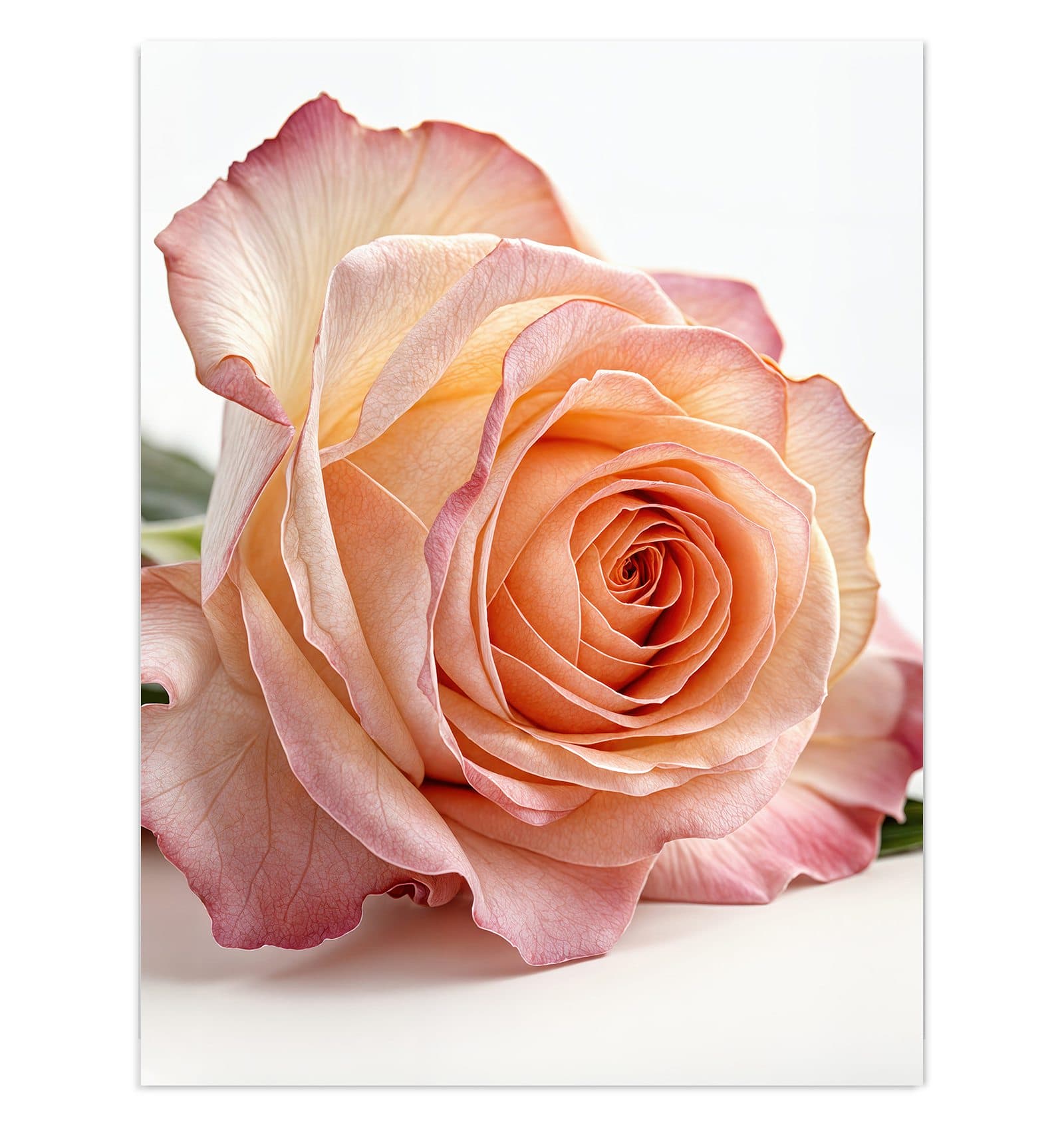 #grösse_30 x 40 cm #grösse_60 x 80 cm #grösse_75 x 100 cm