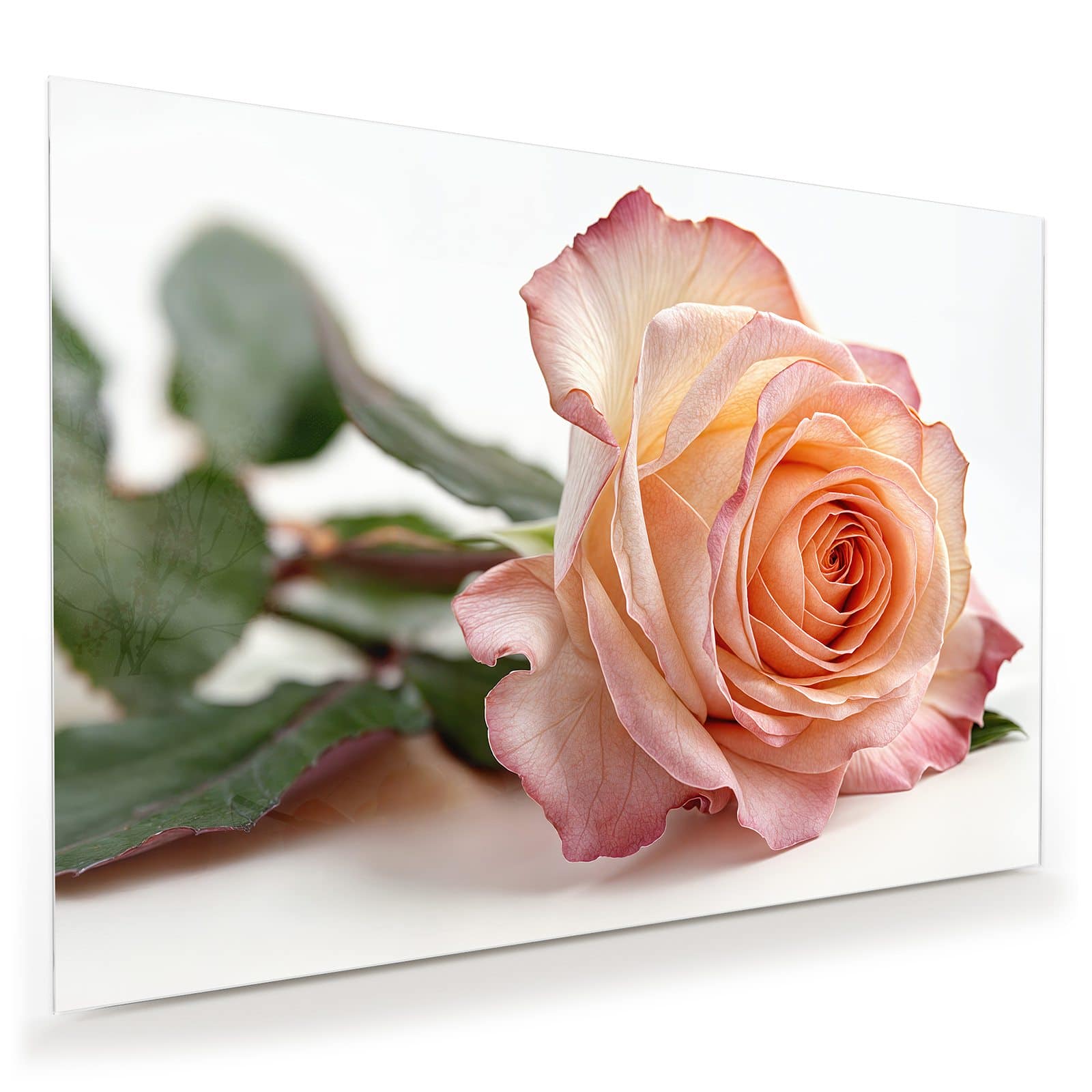 #grösse_100 x 70 cm