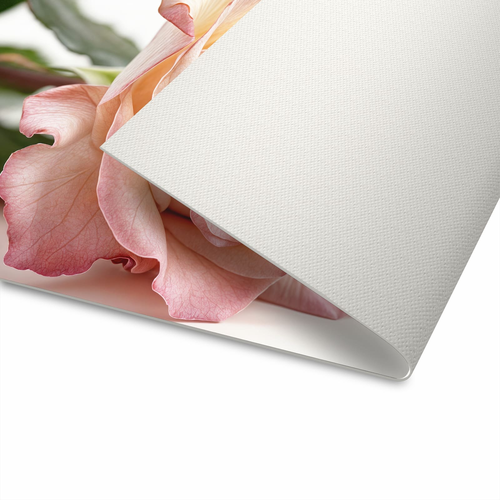 UV-beständiger Teppich für Esstisch mit Motiv Elegante Rose Blüte in Unterseite, waschbar