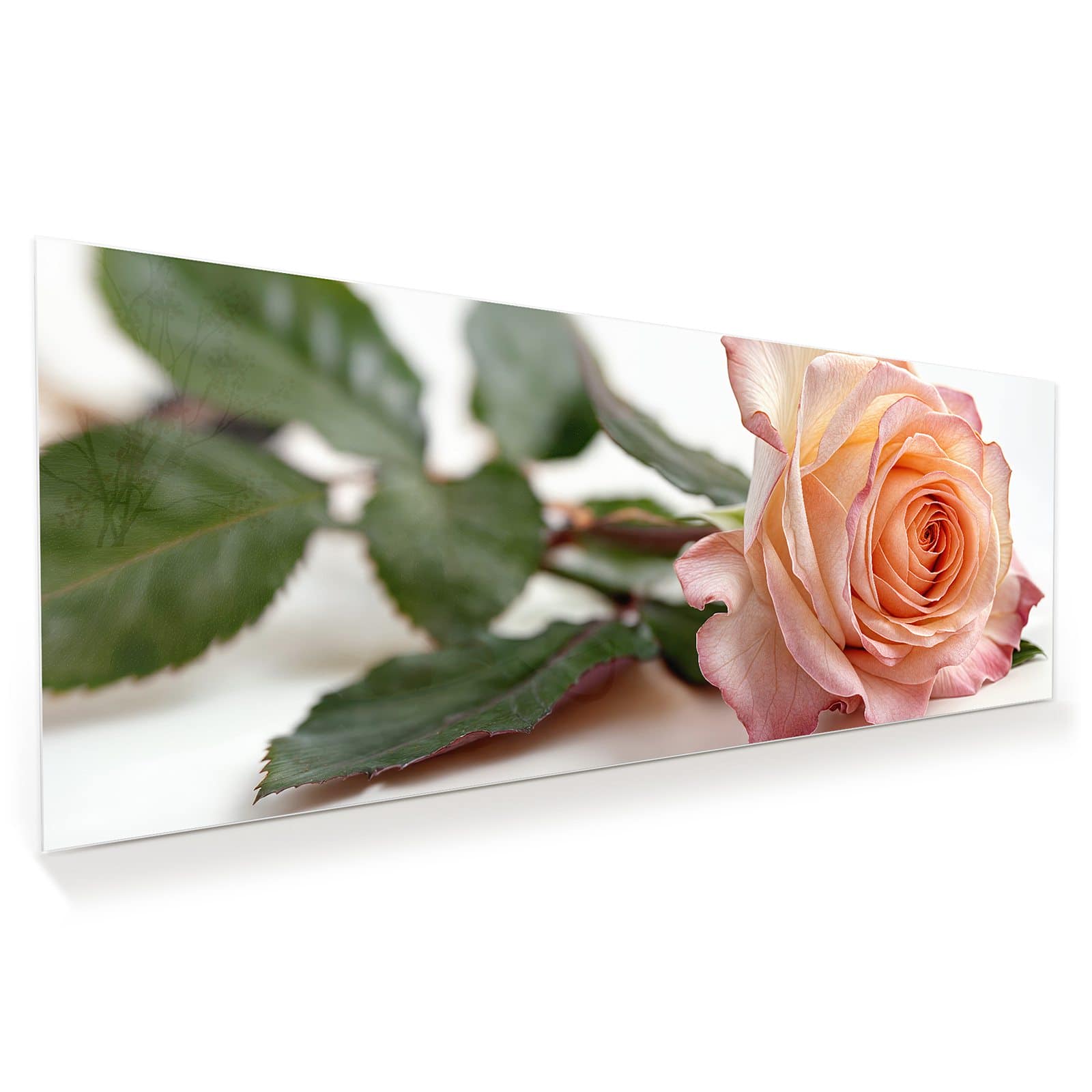 #grösse_100 x 40 cm #grösse_125 x 50 cm #grösse_150 x 60 cm