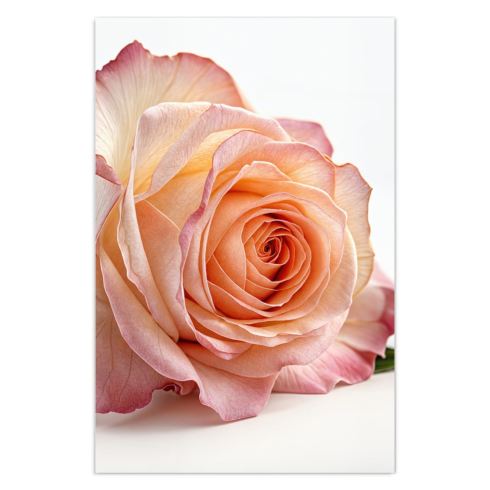 #grösse_40 x 60 cm #grösse_50 x 75 cm #grösse_60 x 90 cm