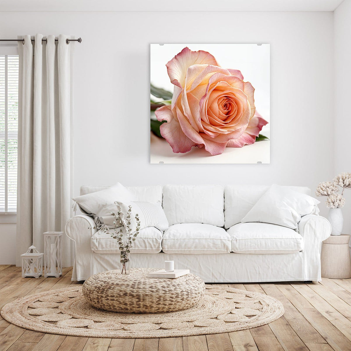 Glasbild Rose in Apricot an der Wand – Liegende Rose in Apricot mit rosa Rand und grünen Blättern vor Weiß