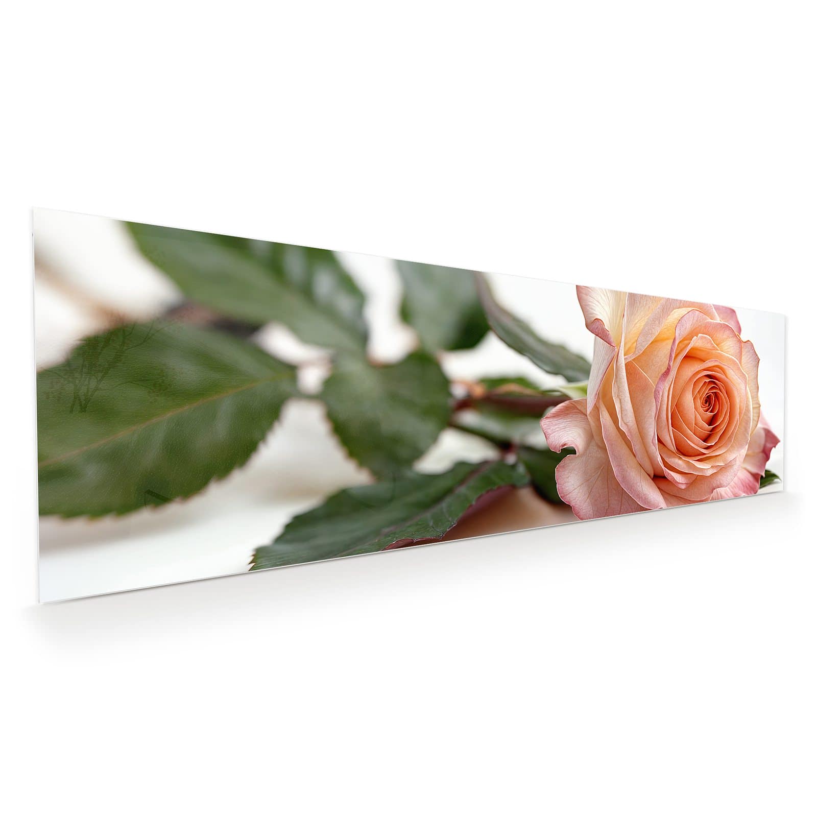 #grösse_120 x 40 cm