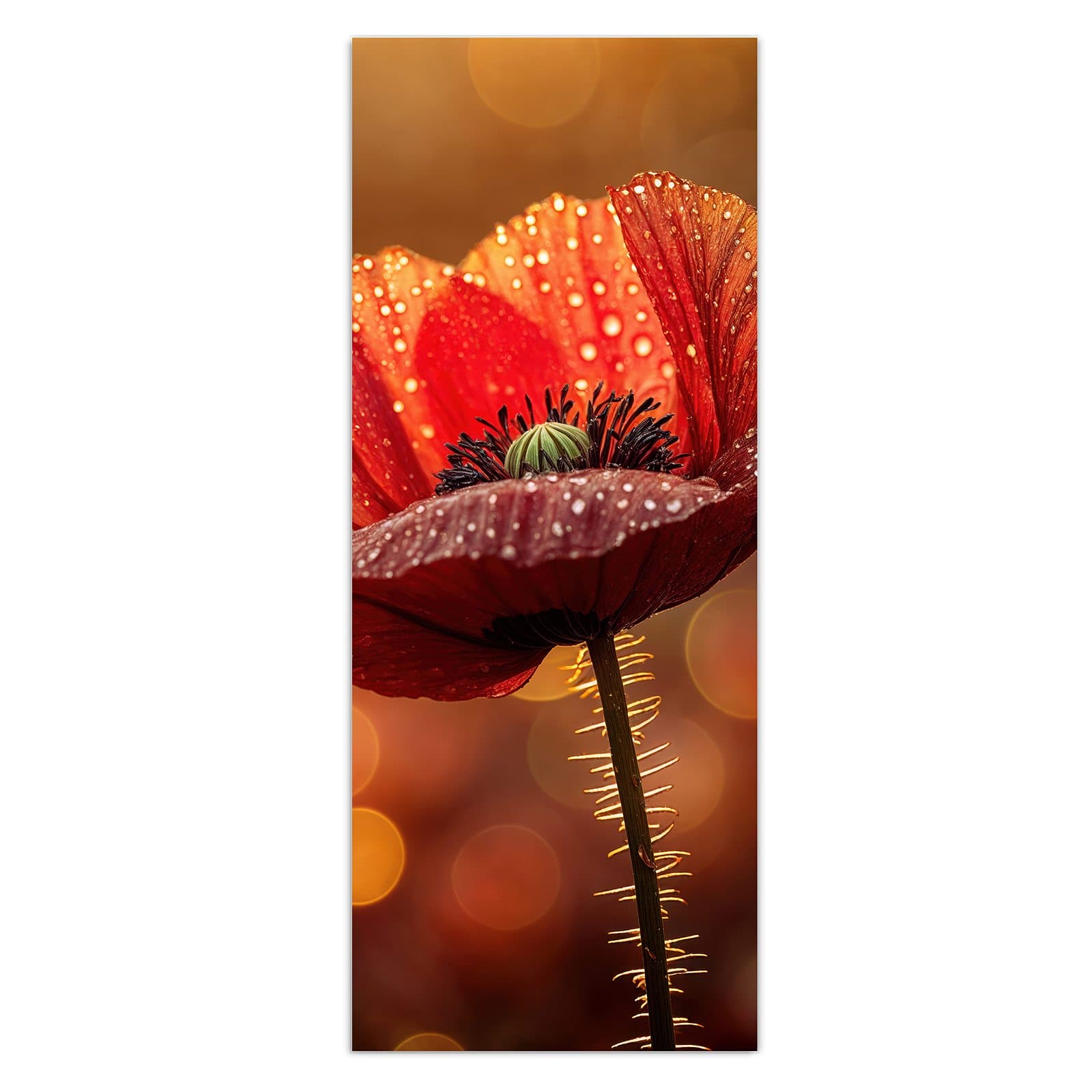 #grösse_50 x 125 cm #grösse_40 x 100 cm #grösse_60 x 150 cm