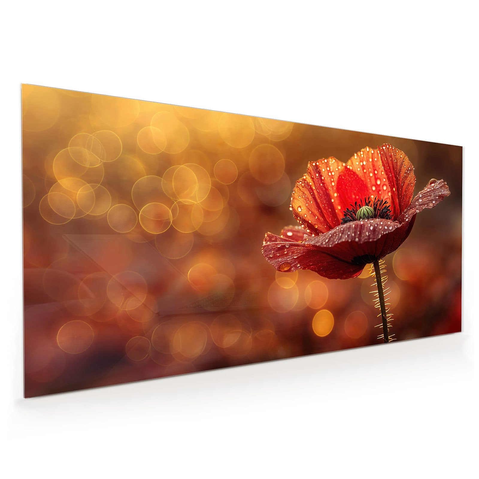 #60 x 120 cm_