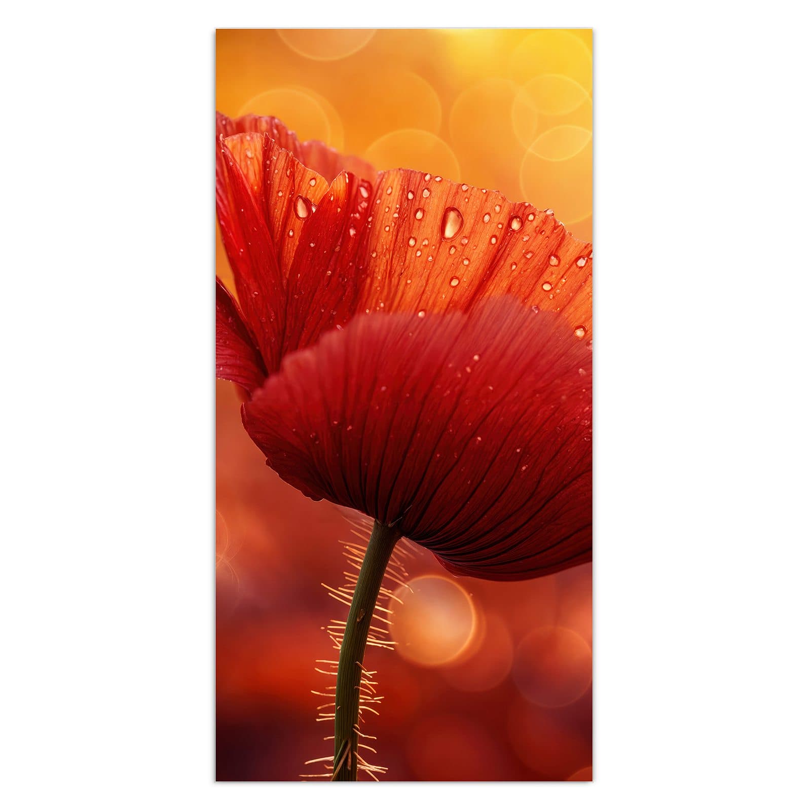 #grösse_30 x 60 cm #grösse_40 x 80 cm #grösse_50 x 100 cm #grösse_55 x 110 cm #grösse_60 x 120 cm