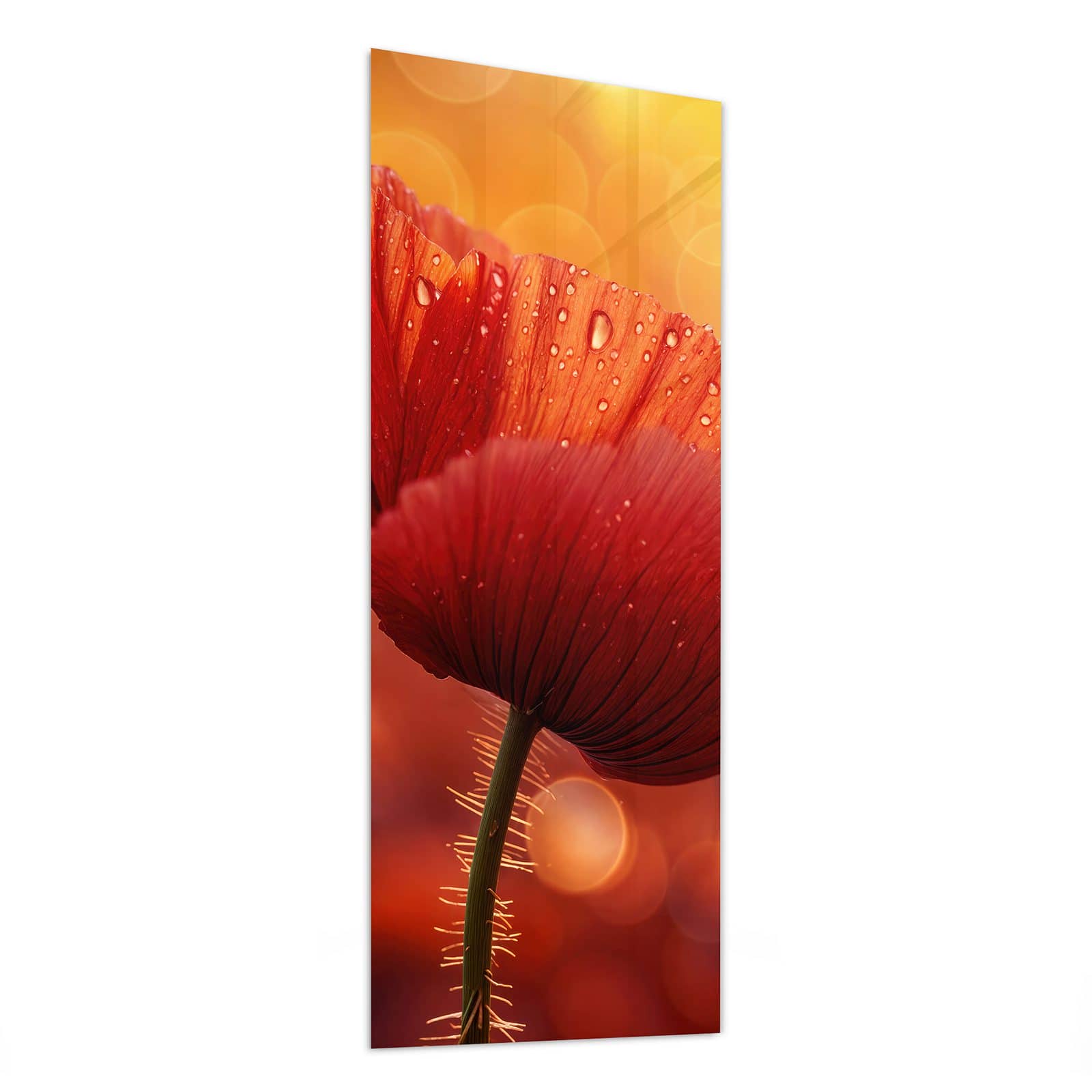 #grösse_50 x 125 cm #grösse_40 x 100 cm #grösse_60 x 150 cm