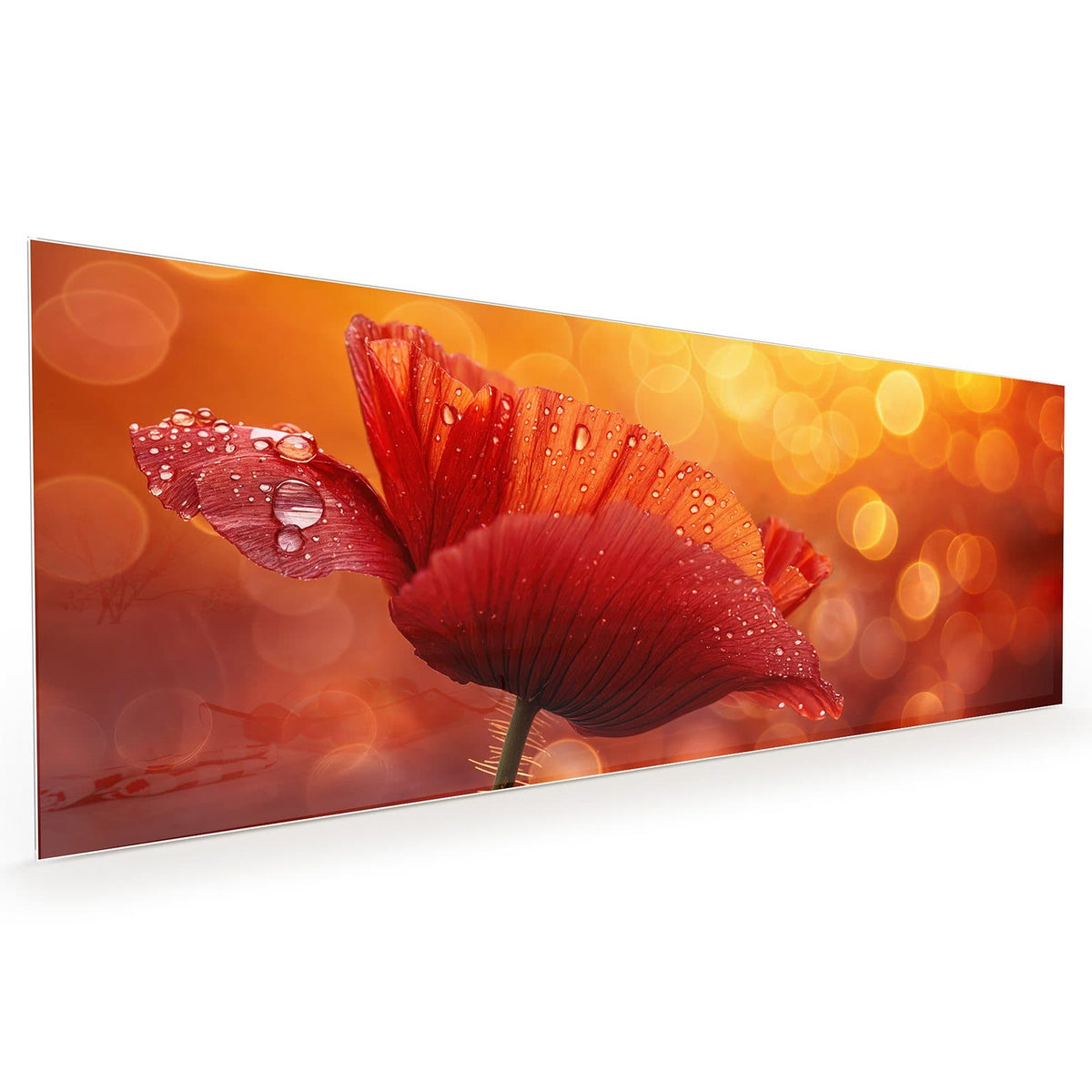 #grösse_40 x 100 cm #grösse_50 x 125 cm #grösse_60 x 150 cm