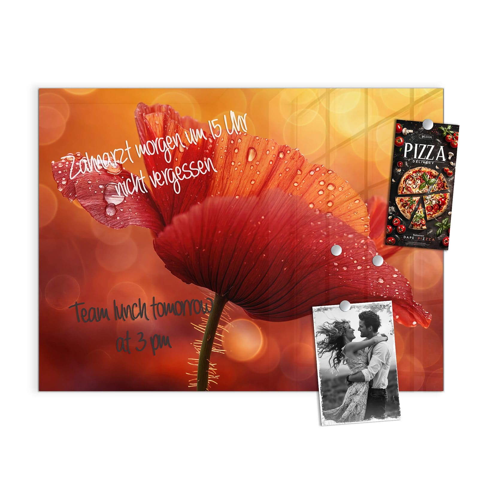 #grösse_120 x 90 cm