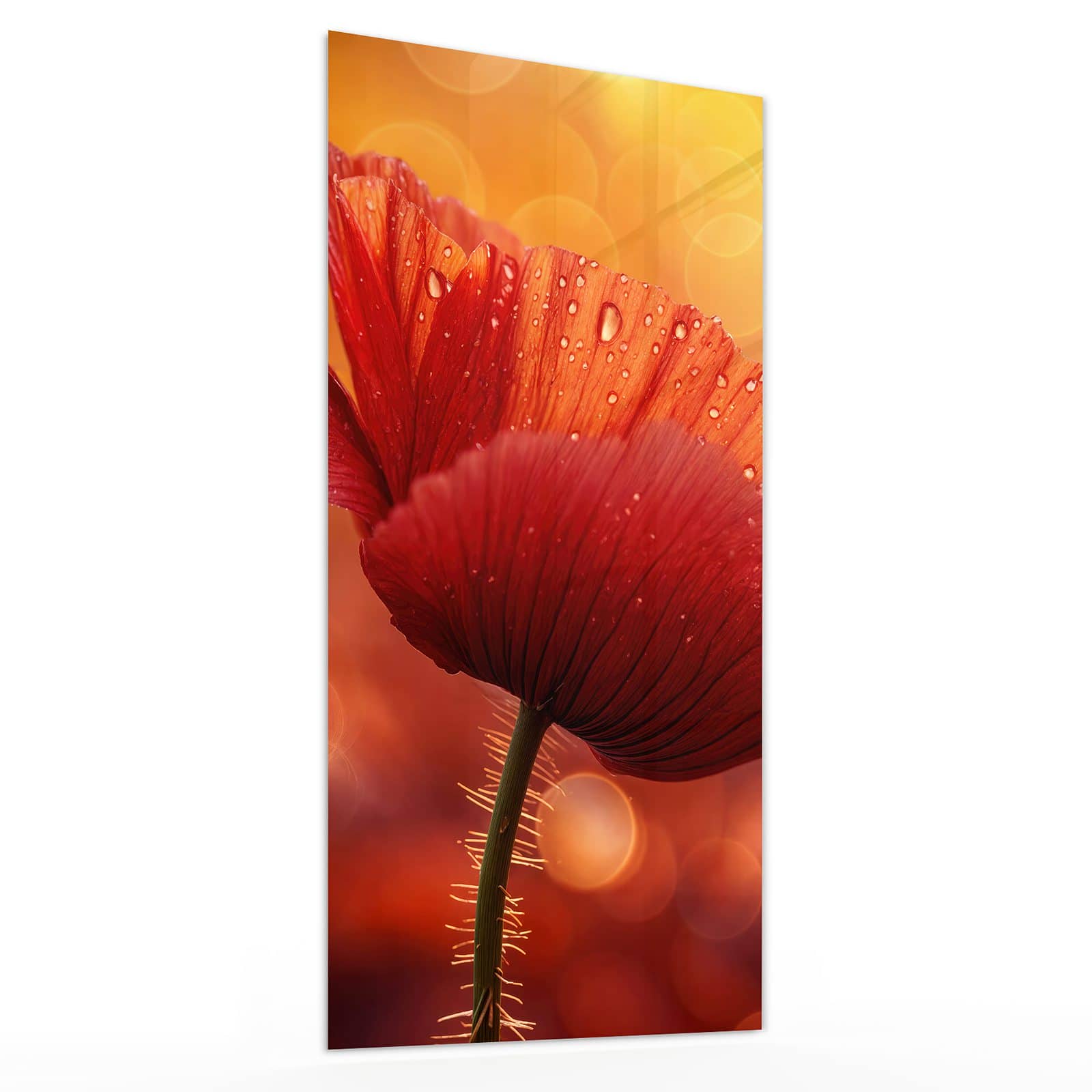 #grösse_30 x 60 cm #grösse_40 x 80 cm #grösse_50 x 100 cm #grösse_55 x 110 cm #grösse_60 x 120 cm
