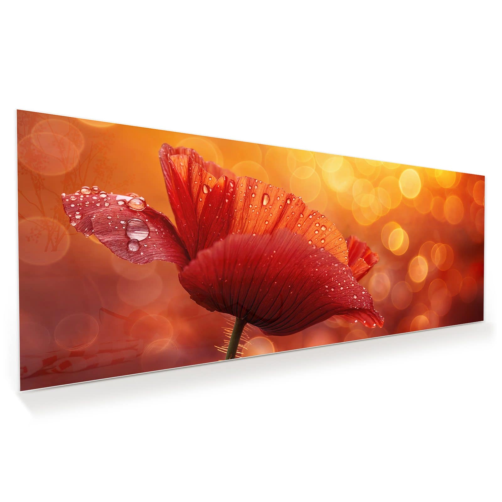 #grösse_100 x 40 cm #grösse_125 x 50 cm #grösse_150 x 60 cm