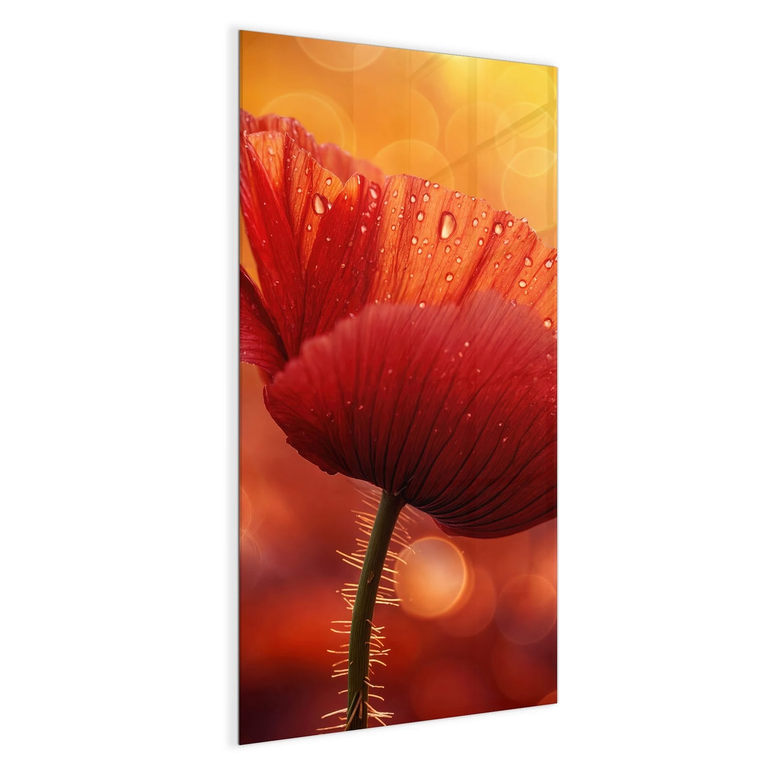 #grösse_50 x 100 cm