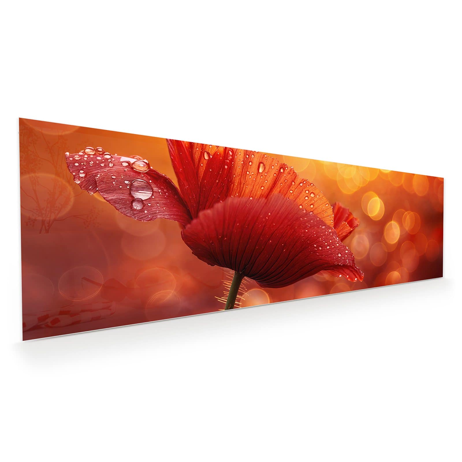 #grösse_120 x 40 cm