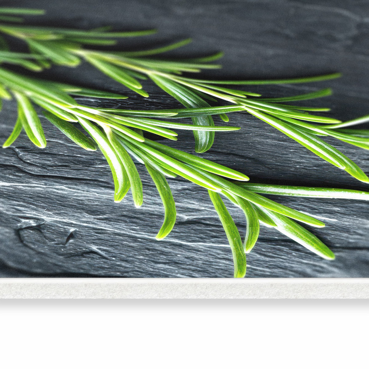 Flacher Bodenläufer Teppich mit Motiv Rosmarinzweig Slate in seitlicher Ansicht