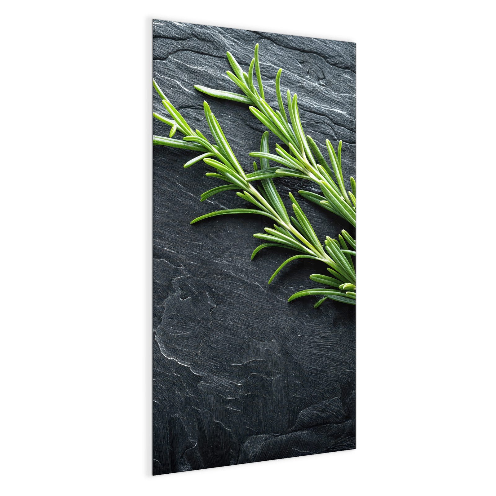 #grösse_50 x 100 cm