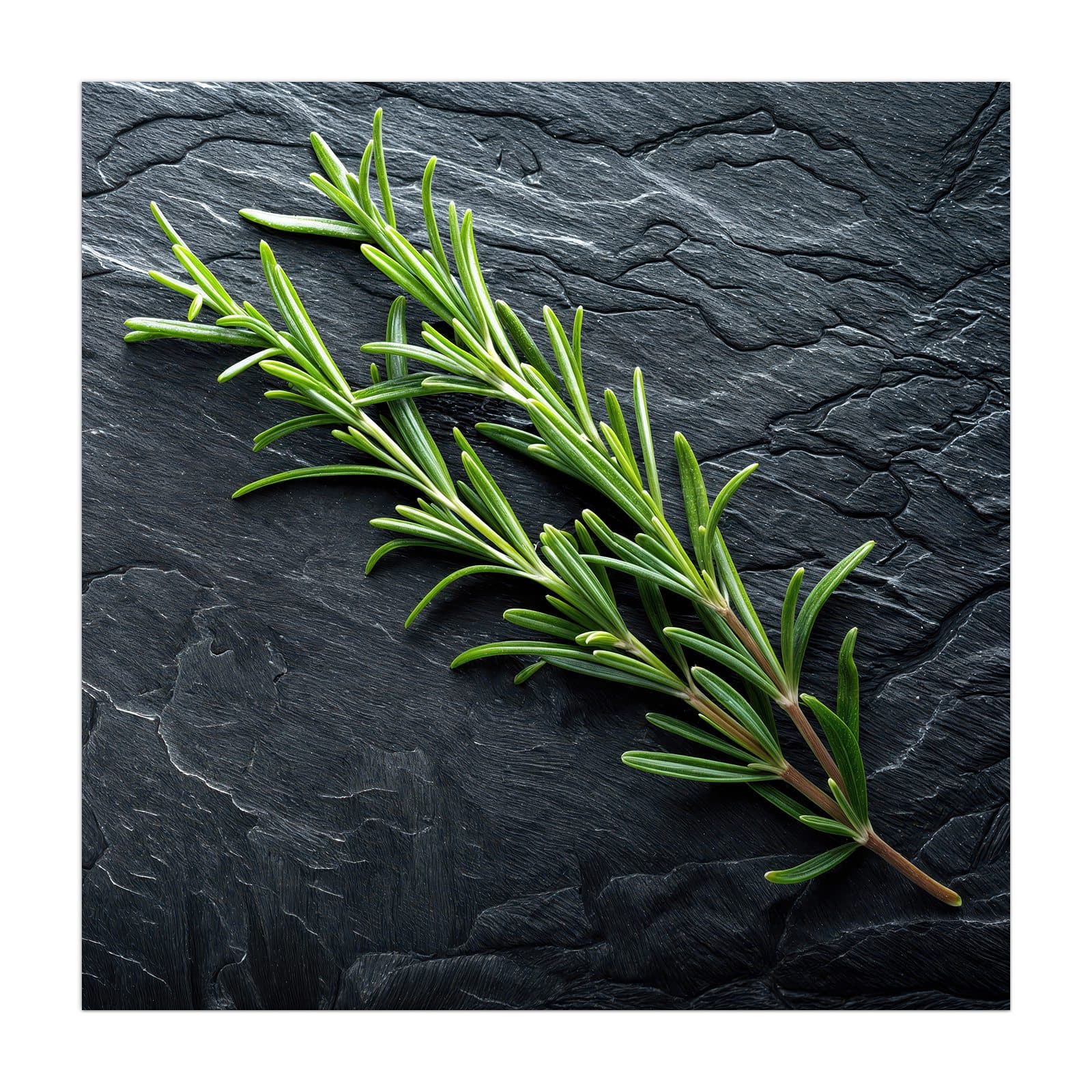 #grösse_40 x 40 cm #grösse_50 x 50 cm #grösse_55 x 55 cm #grösse_60 x 60 cm #grösse_65 x 65 cm #grösse_70 x 70 cm