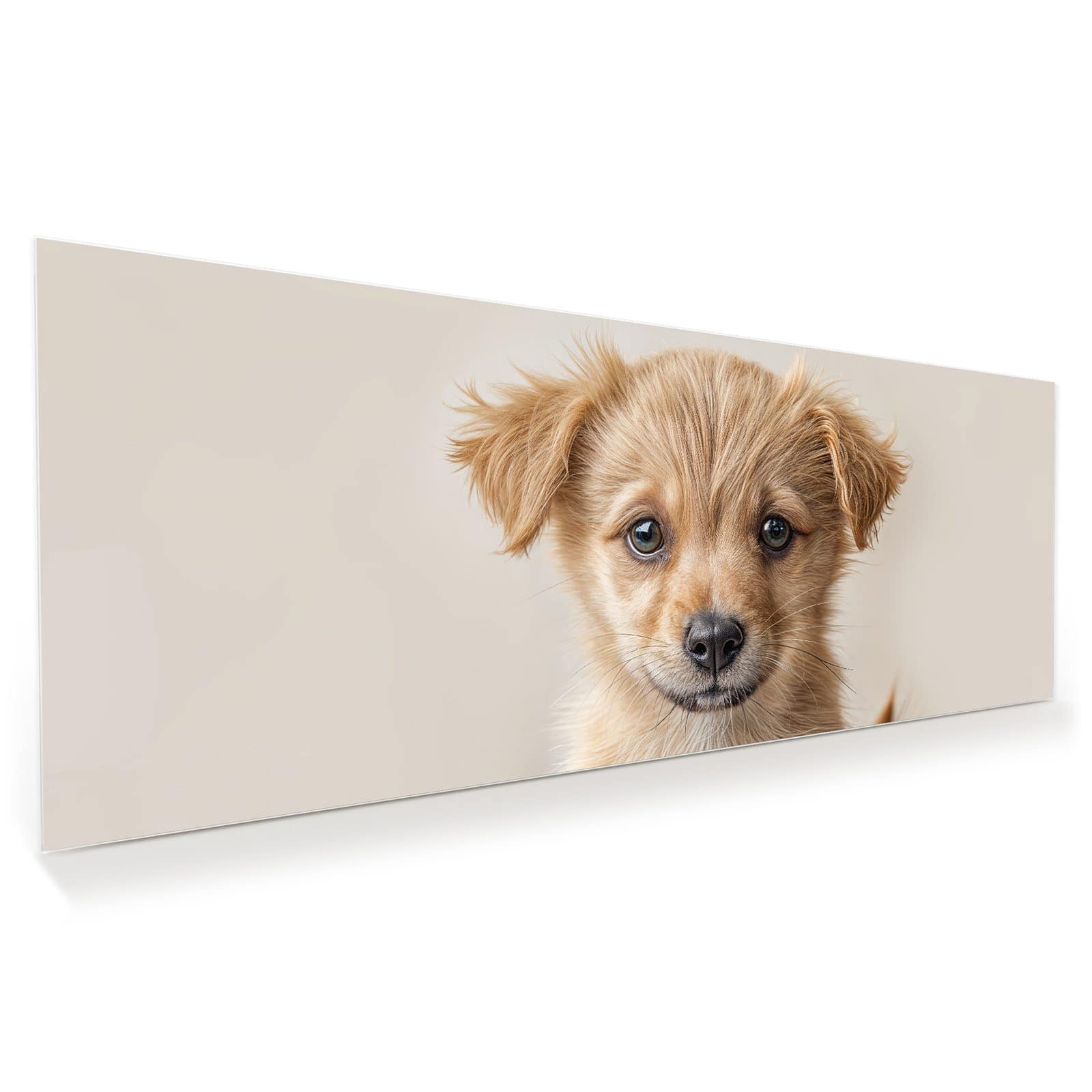 #grösse_100 x 40 cm #grösse_125 x 50 cm #grösse_150 x 60 cm