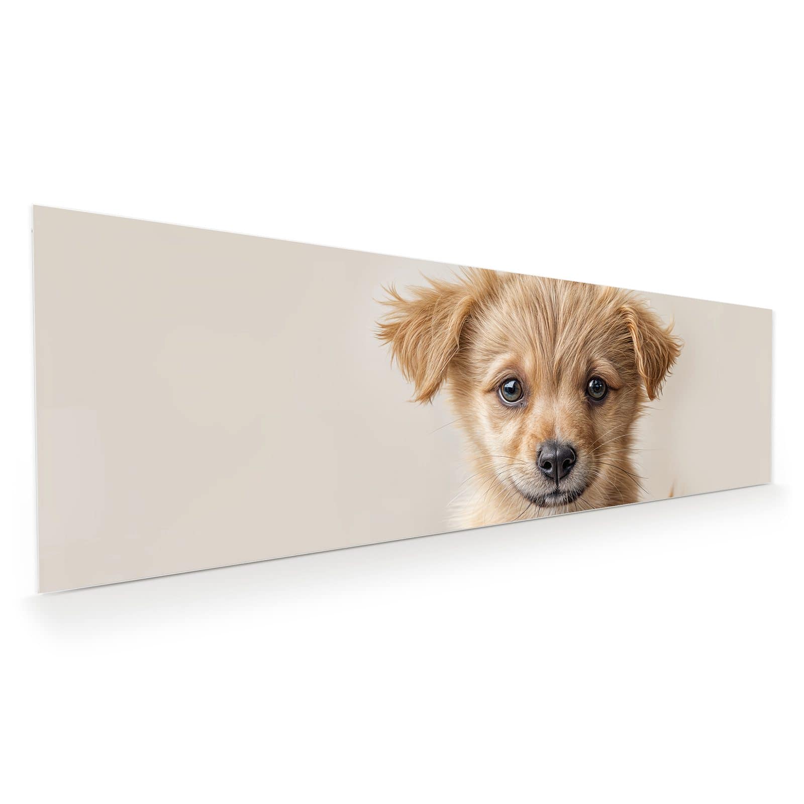 #grösse_120 x 40 cm