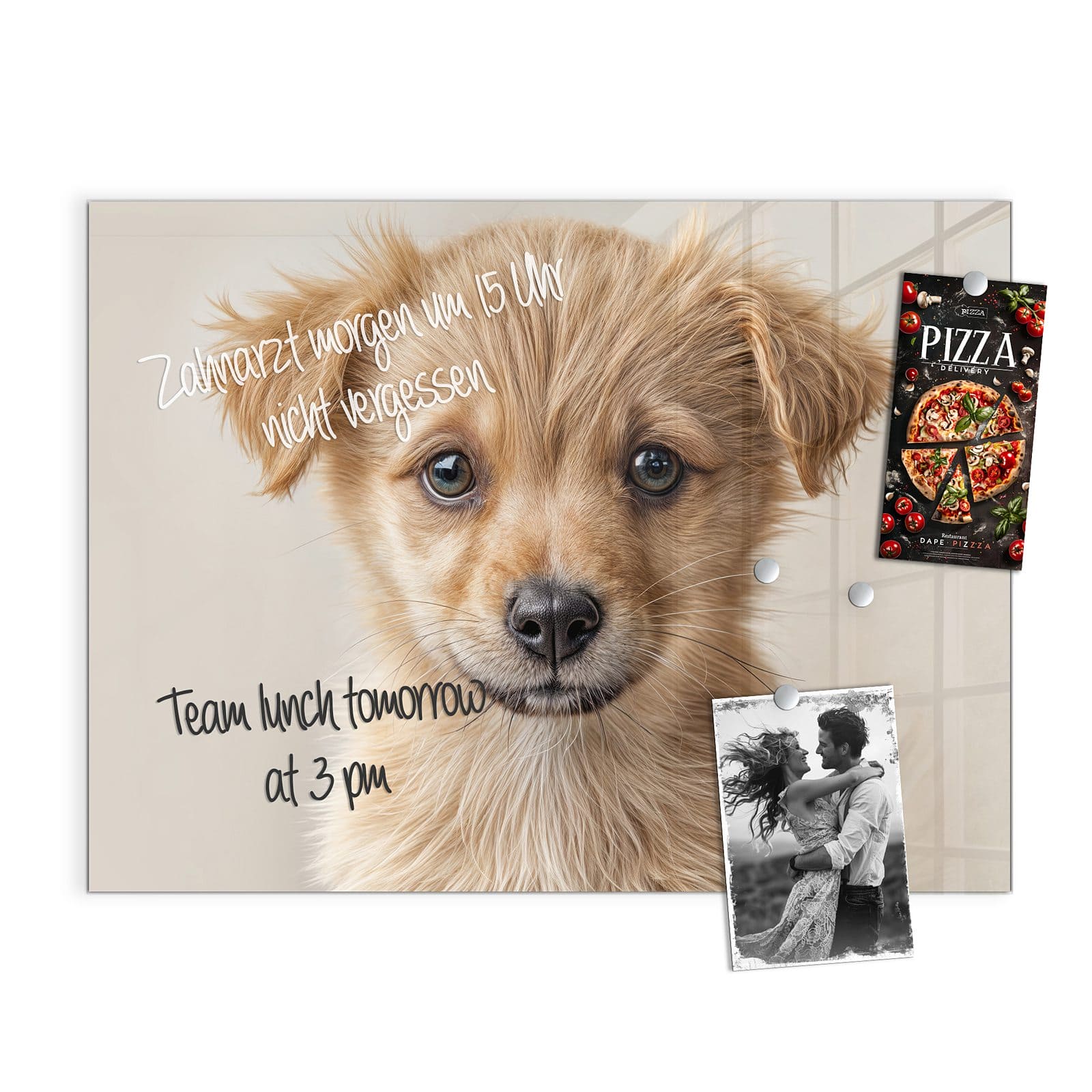 #grösse_120 x 90 cm