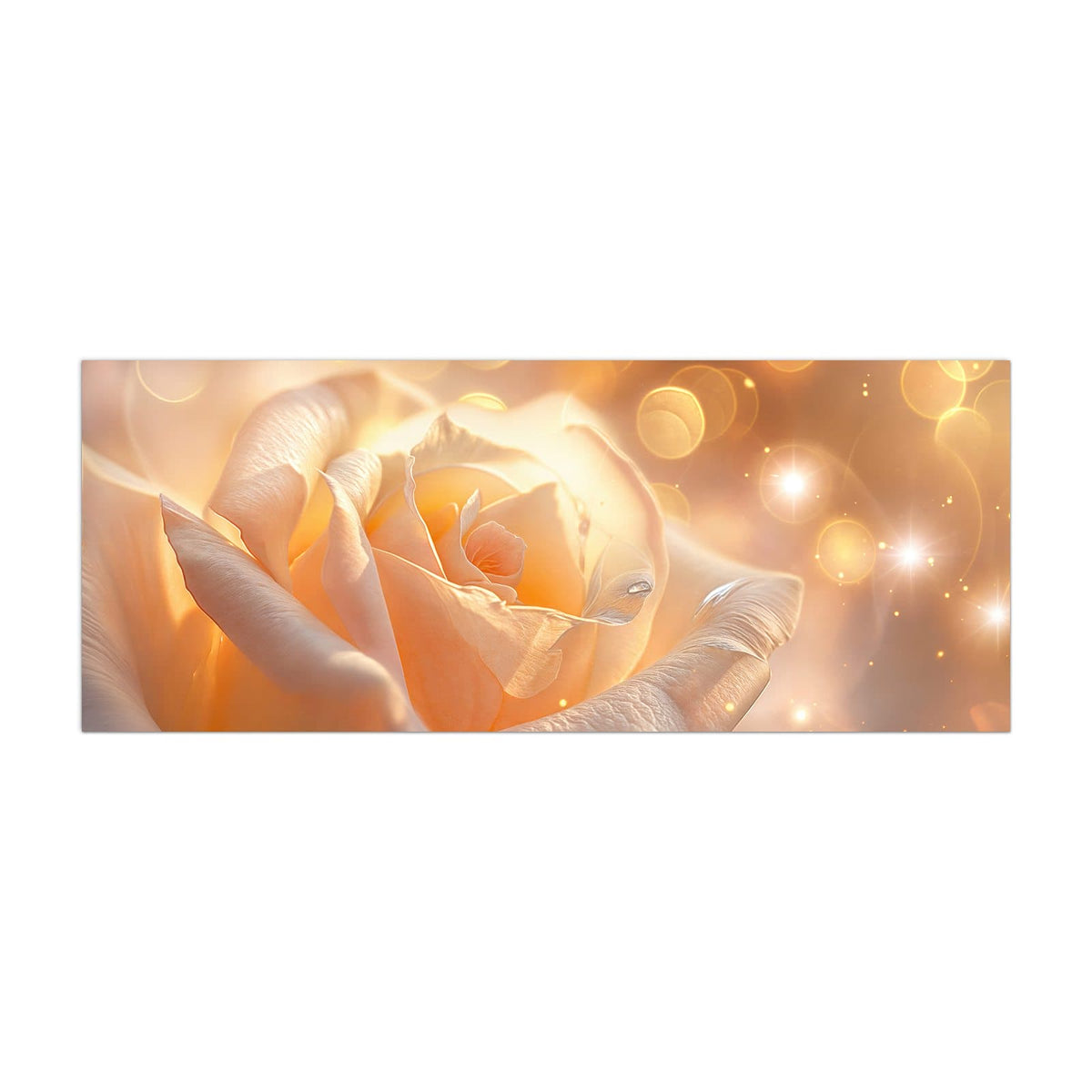 Küchenrückwand aus Glas Apricotfarbene Rose im Hochformat, Motiv bildfüllend von vorn