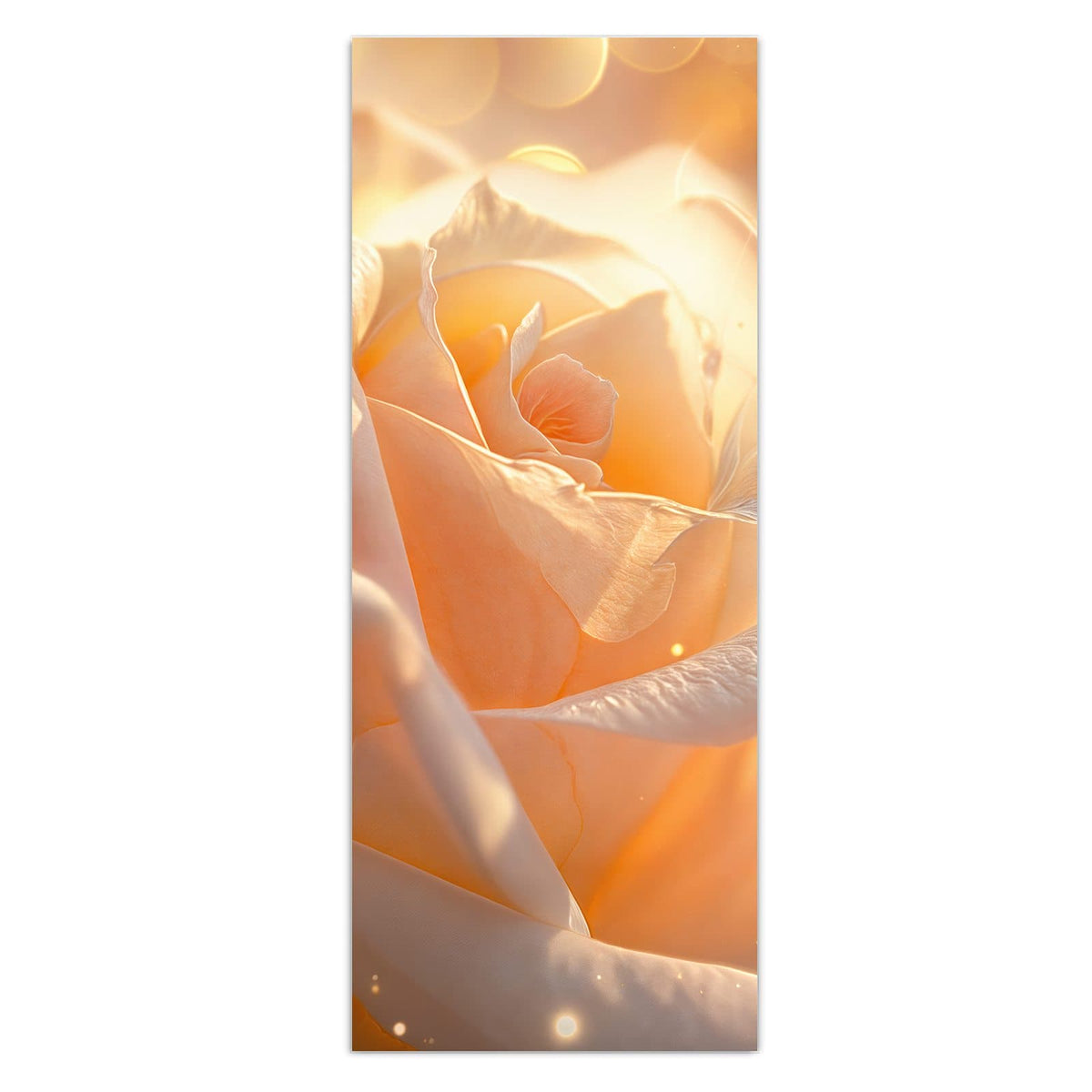 Wandbild - Apricotfarbene Rose - Hochformat – Zarte Rose im Lichterglanz