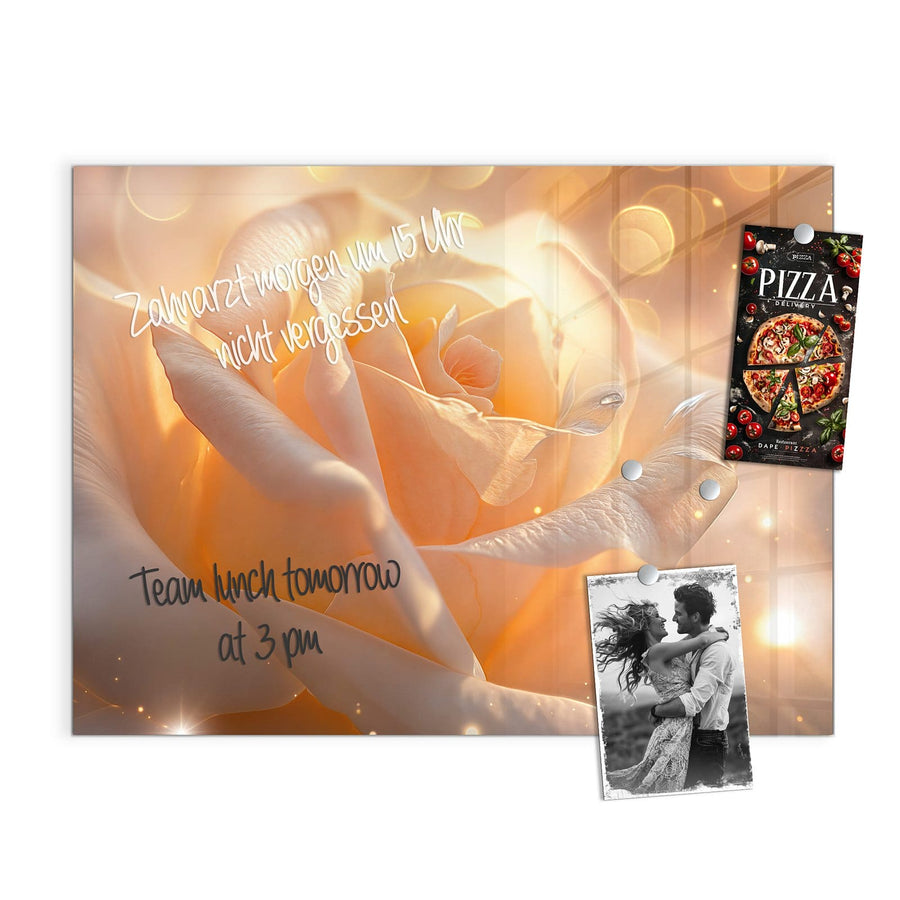 Maße Magnettafel - Apricotfarbene Rose